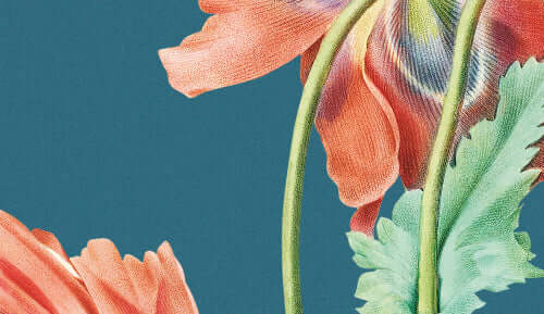 Vintage Flowers collectie inductie beschermer met elegante botanische illustraties op een blauwe achtergrond.