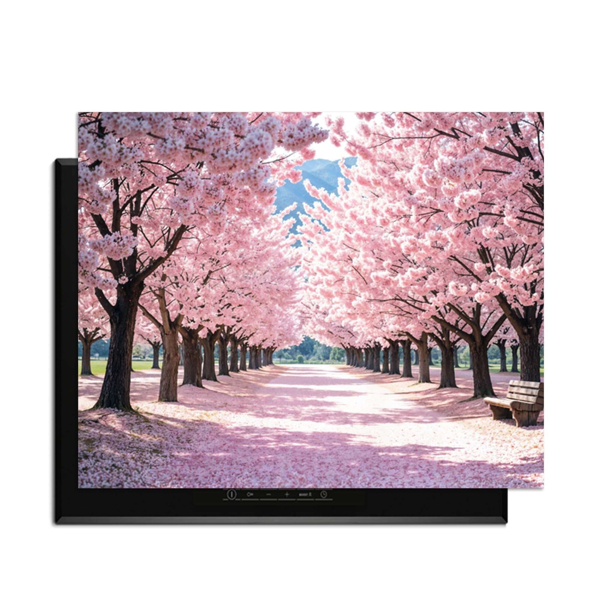 Sakura Bliss – Inductie Beschermer met prachtig uitzicht op Japanse kersenbloesem in bloei.