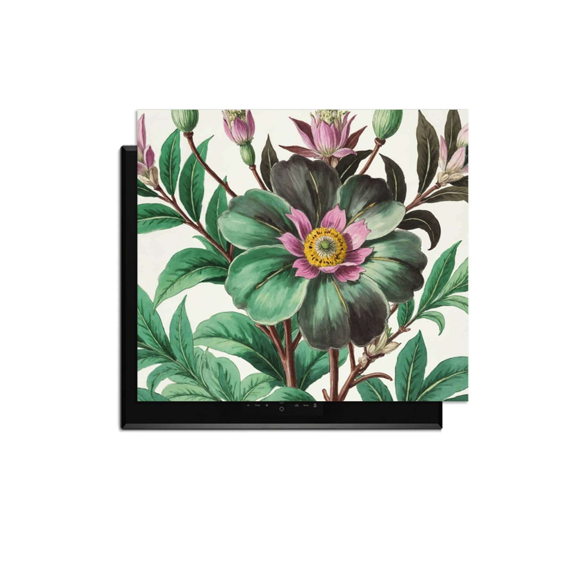 Botanical Grace – Inductie Beschermer met botanische illustraties op een inductiekookplaat.