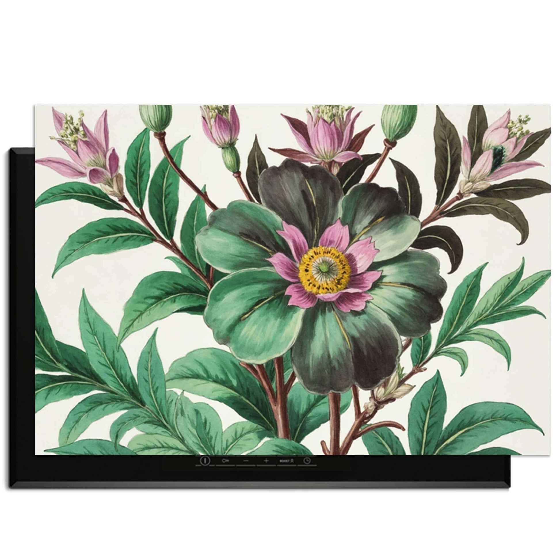 Botanical Grace – Inductie Beschermer met prachtige botanische illustraties voor je keuken.