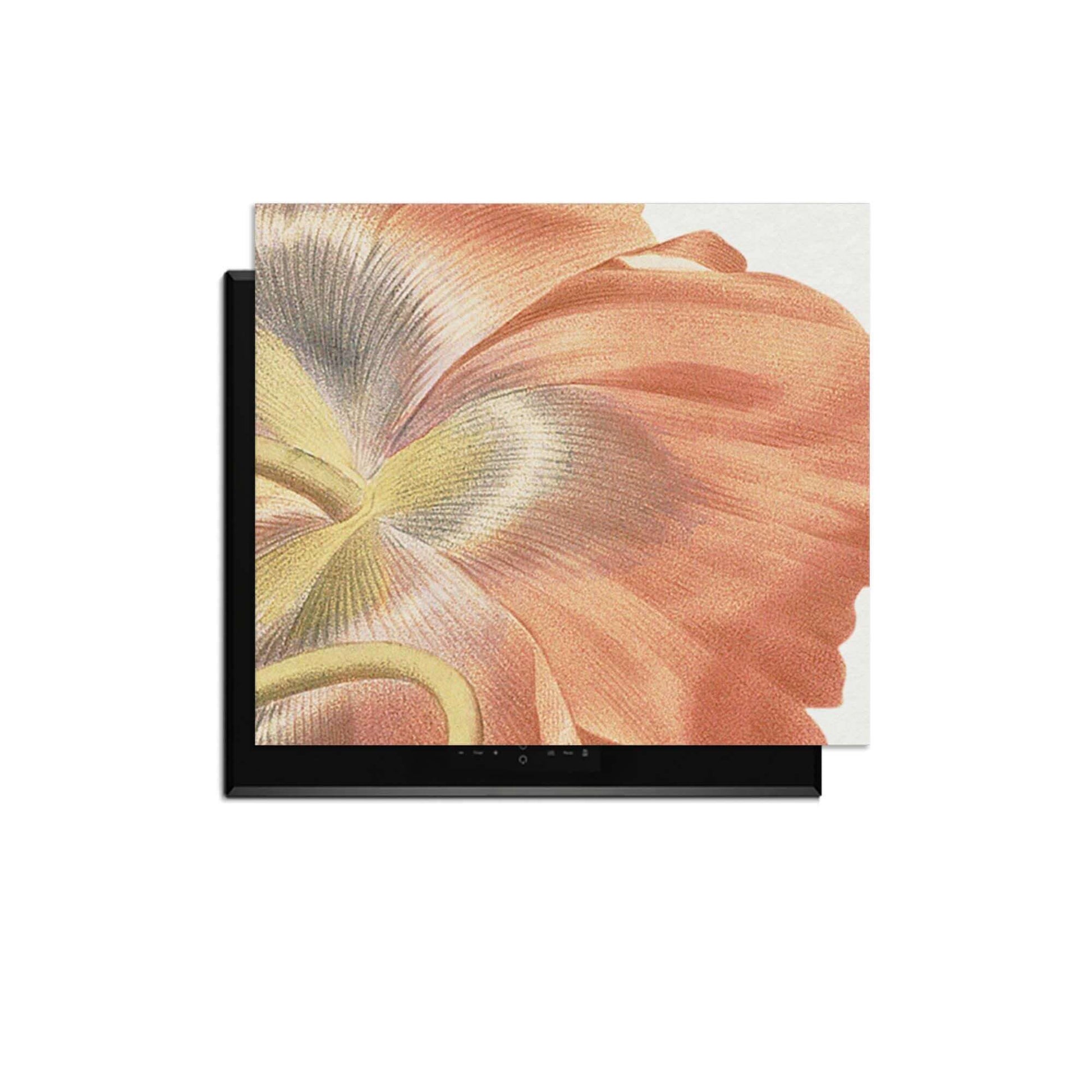 Poppy Bloom – Inductie Beschermer met een delicaat ontwerp van een opengeschoten papaverbloem.