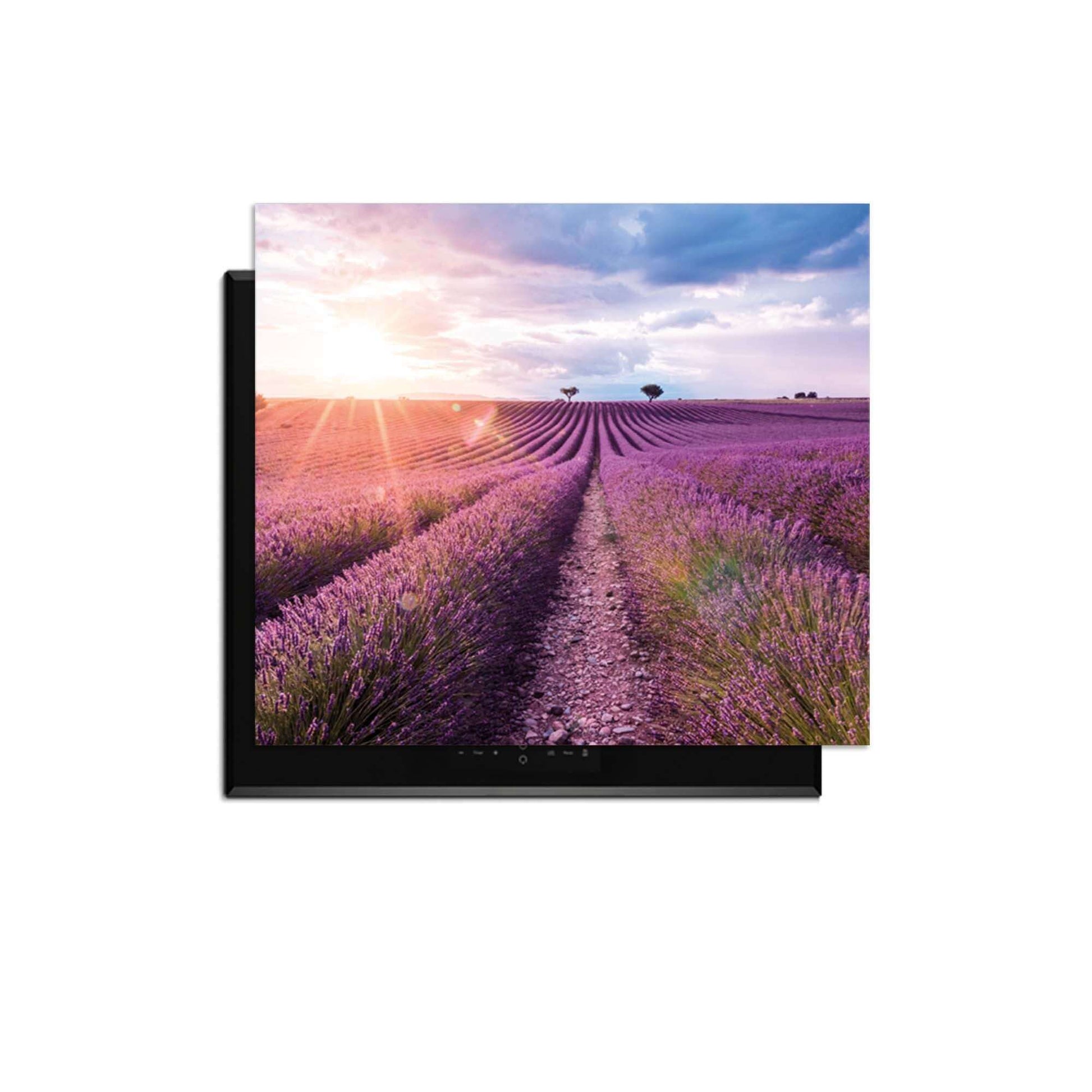 Lavender Horizon – Inductie Beschermer met uitzicht op een lavendelveld onder de zon.