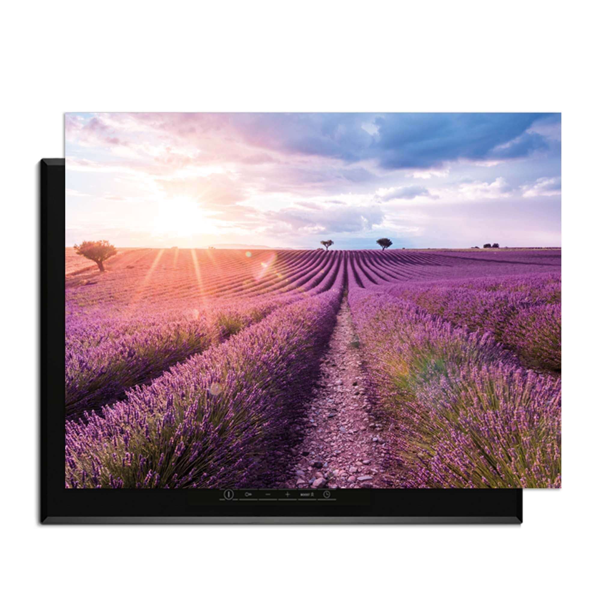 Lavender Horizon – Inductie Beschermer met prachtig uitzicht op een lavendelveld in de zon.