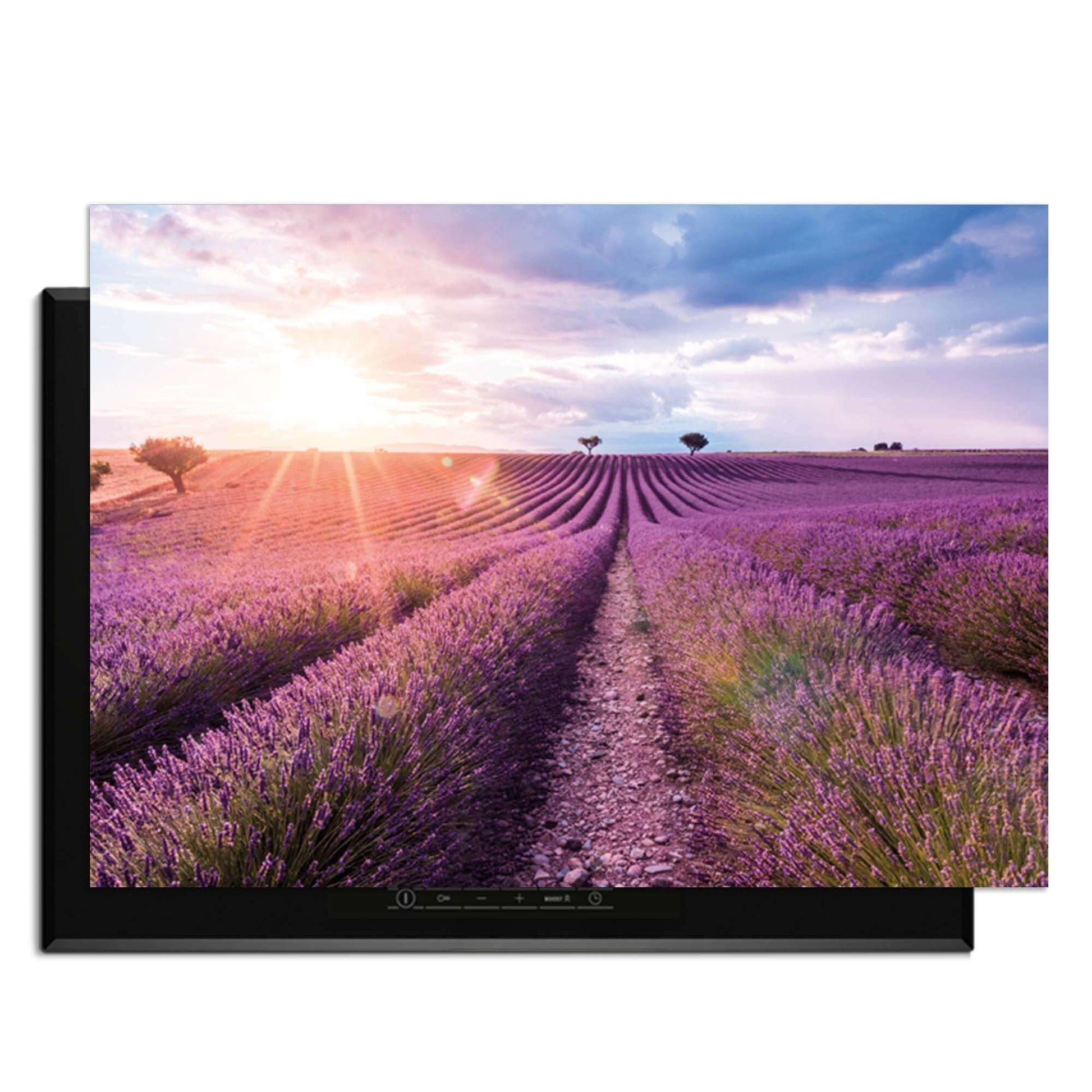 Lavender Horizon – Inductie Beschermer met een prachtig uitzicht op lavendelvelden in de zonsondergang.