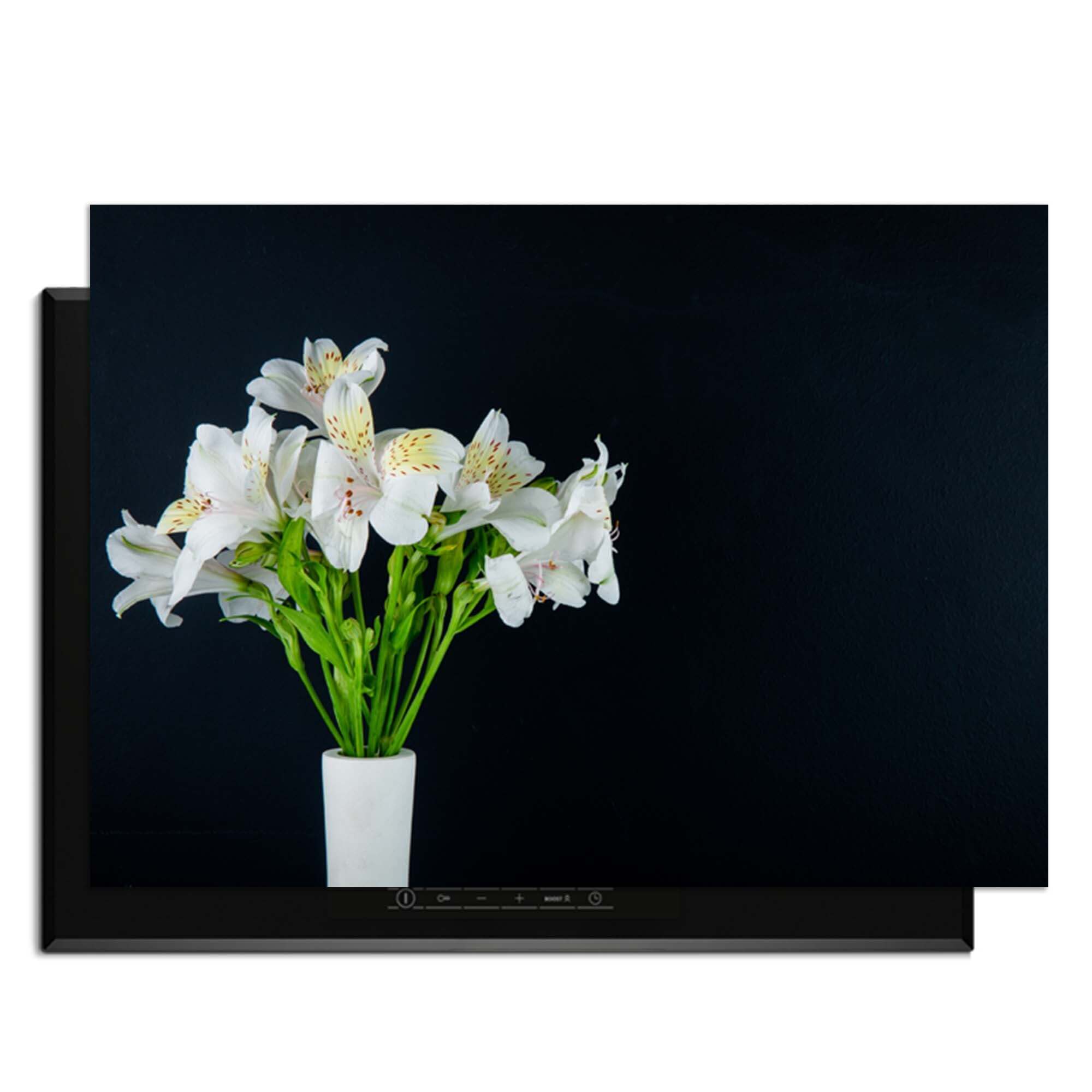 White Whisper - Inductie Beschermer met mooie witte bloemen op een zwarte achtergrond.