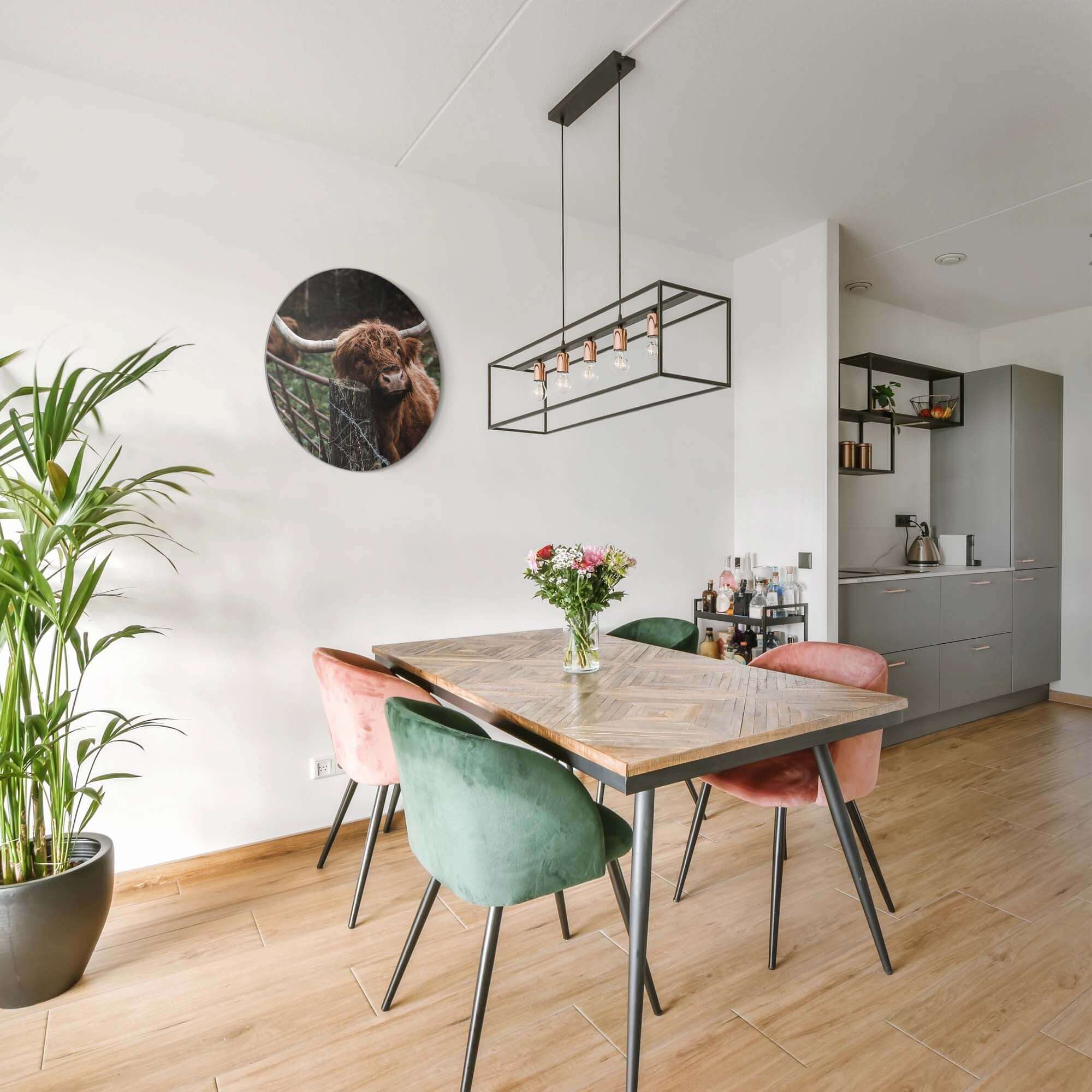 Schotse Hooglander bij het hek - Muurcirkel