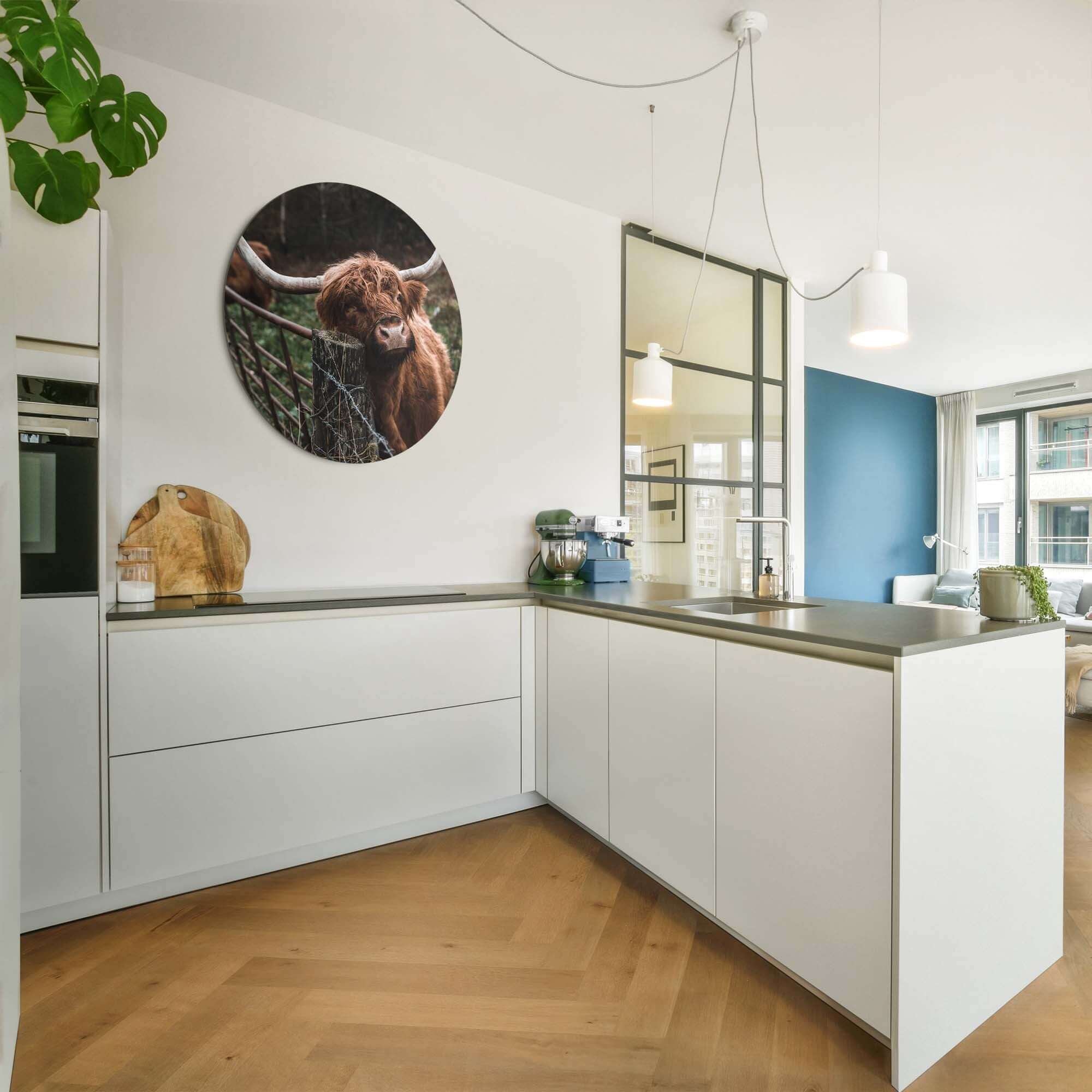 Schotse Hooglander bij het hek - Muurcirkel