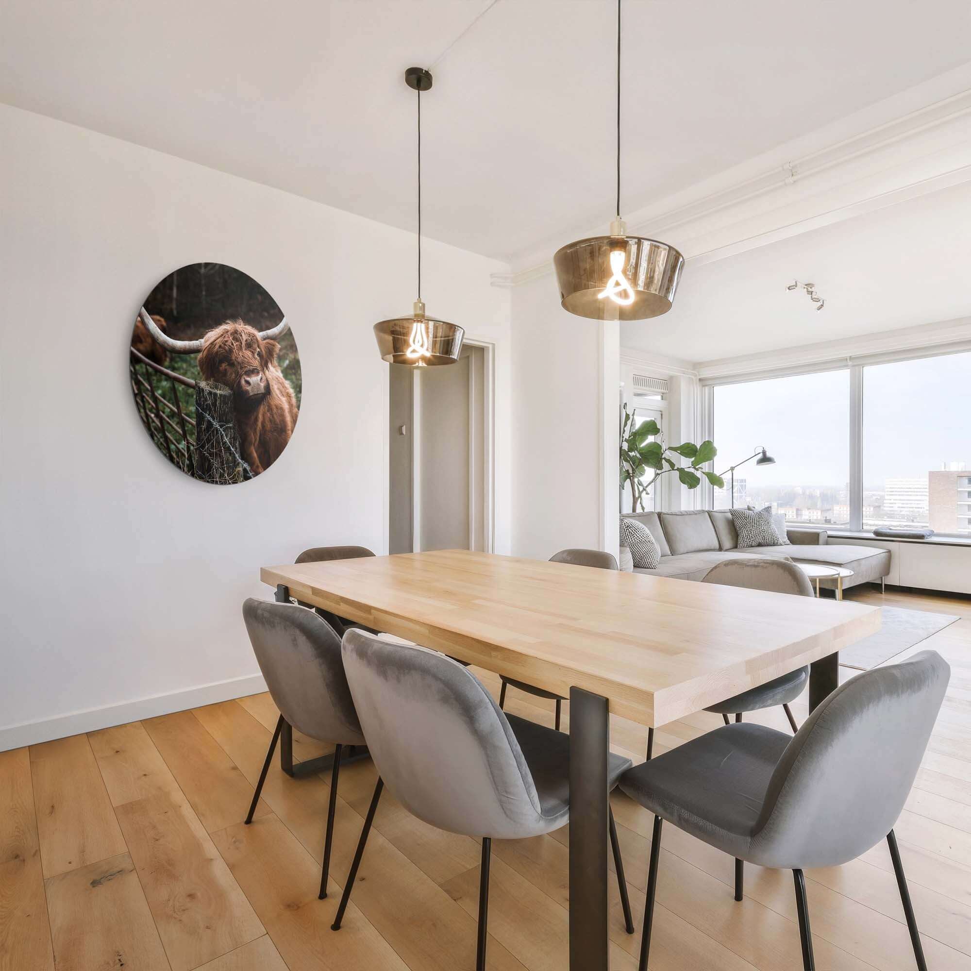 Schotse Hooglander bij het hek - Muurcirkel