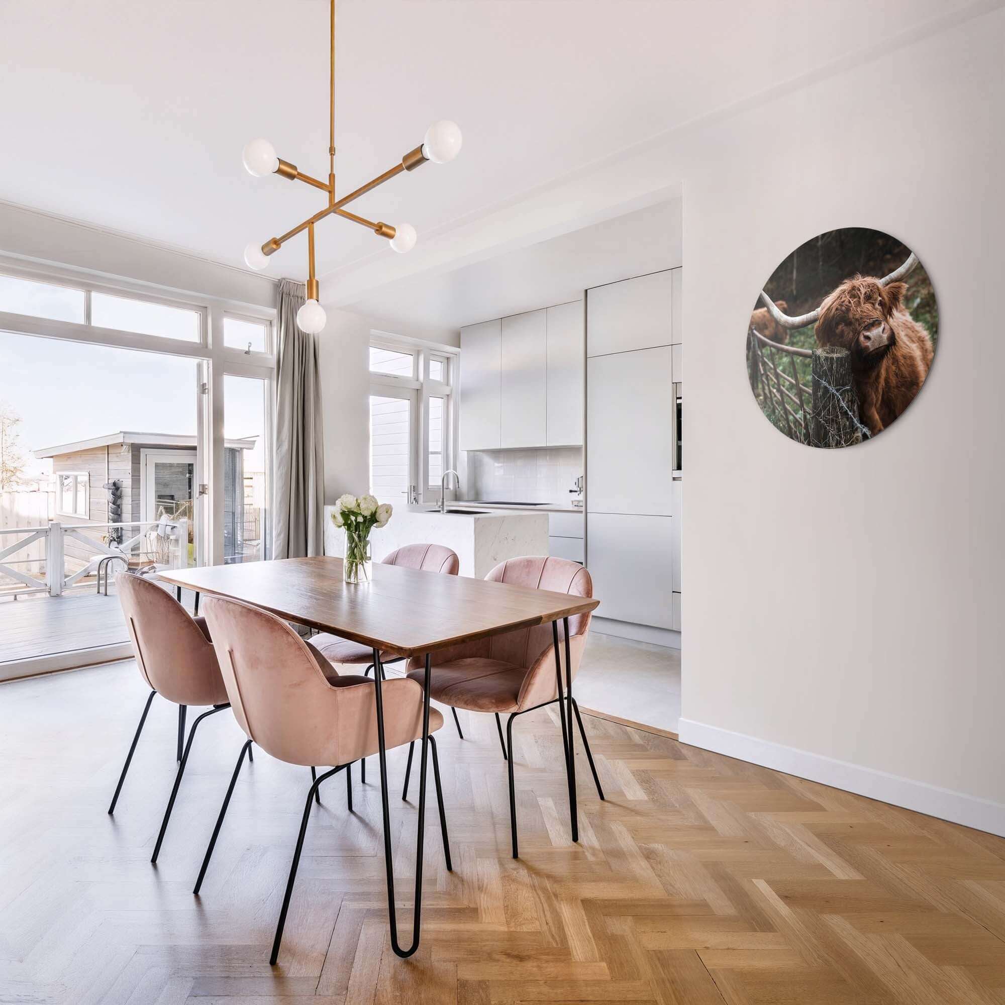 Schotse Hooglander bij het hek - Muurcirkel