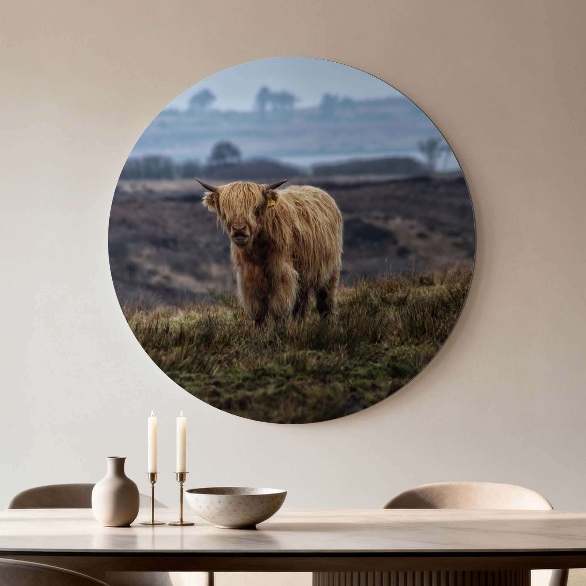 Schotse Hooglander in het veld – Muurcirkel