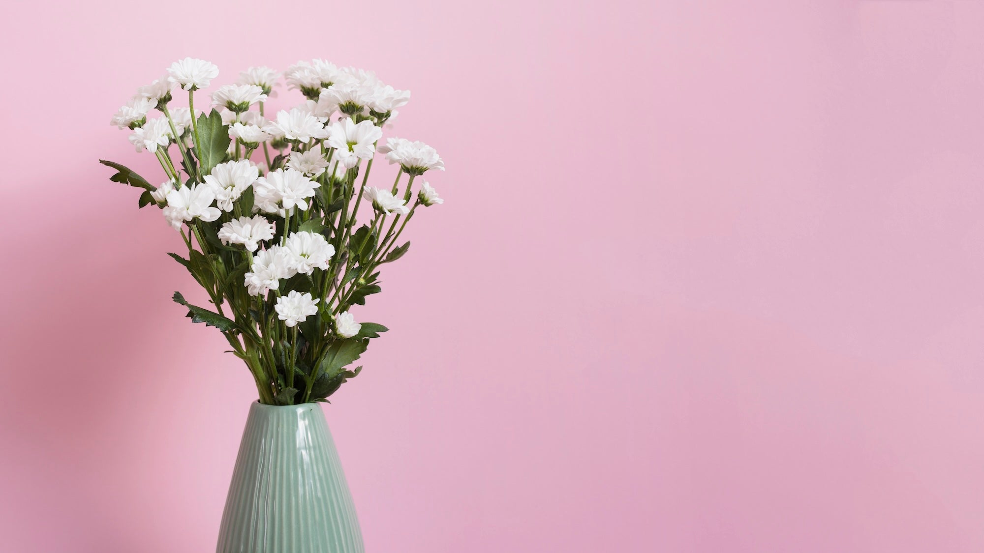 Blush Bloom - Inductie Beschermer  design met roze achtergrond en prachtige bloemen in vaas op voorgrond aan linkerkant