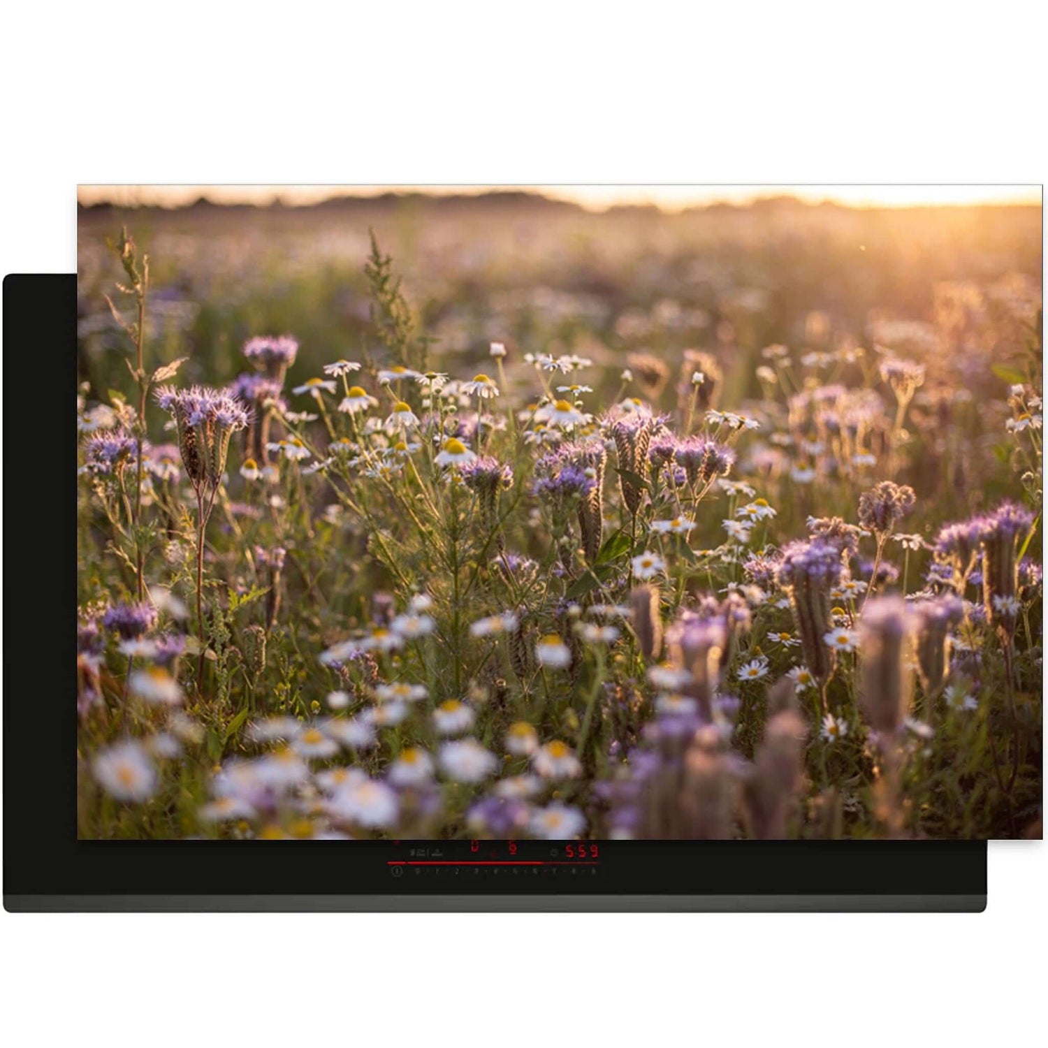 Evening Meadow - Inductie Beschermer