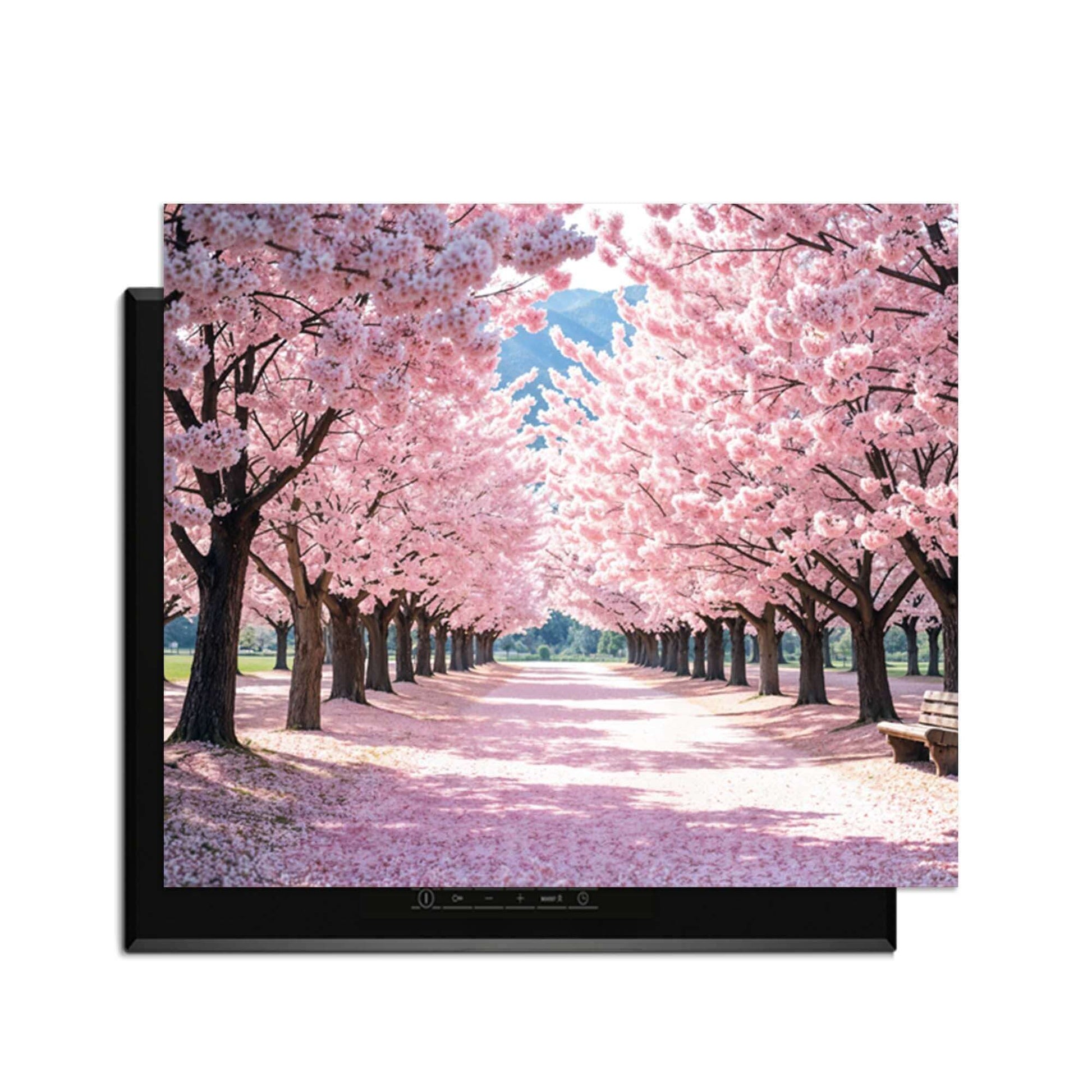 Sakura Bliss – Inductie Beschermer met schone afbeelding van een kersenbloesemlaantje in het voorjaar.