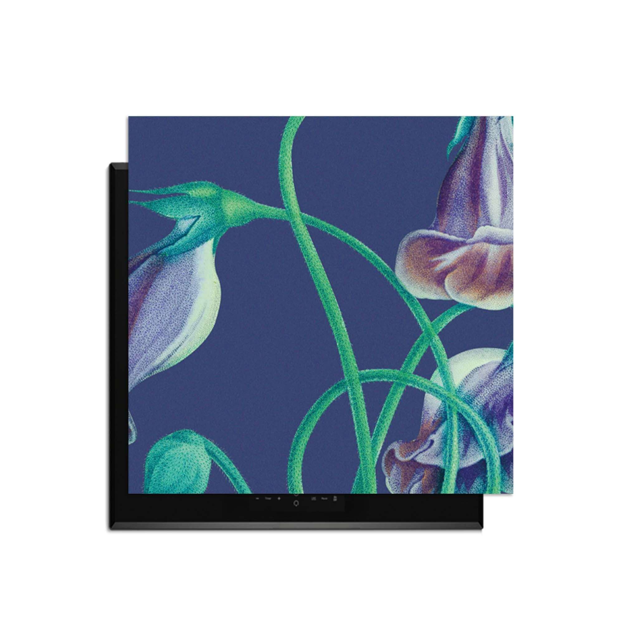 Midnight Bloom – Inductie Beschermer met paarse bloemen op een diepblauwe achtergrond voor keukenbescherming.