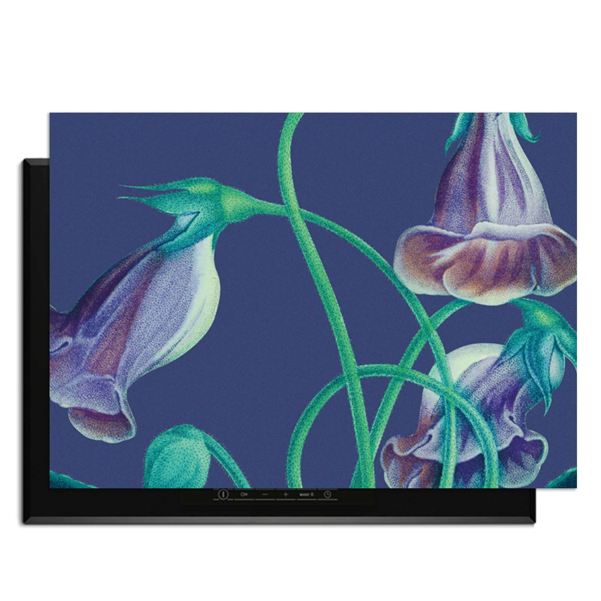 Midnight Bloom – Inductie Beschermer met paarse bloemen op een diepe achtergrond voor een elegante keuken.