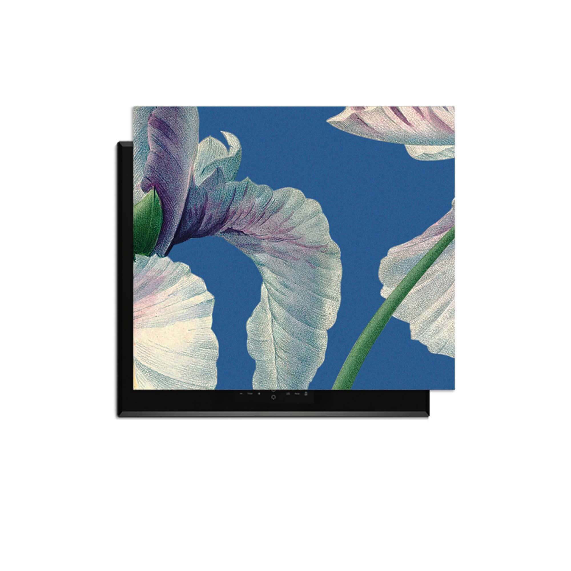 Blue Iris Grace – Inductie Beschermer met elegante blauwe irissen op een diepe achtergrond.