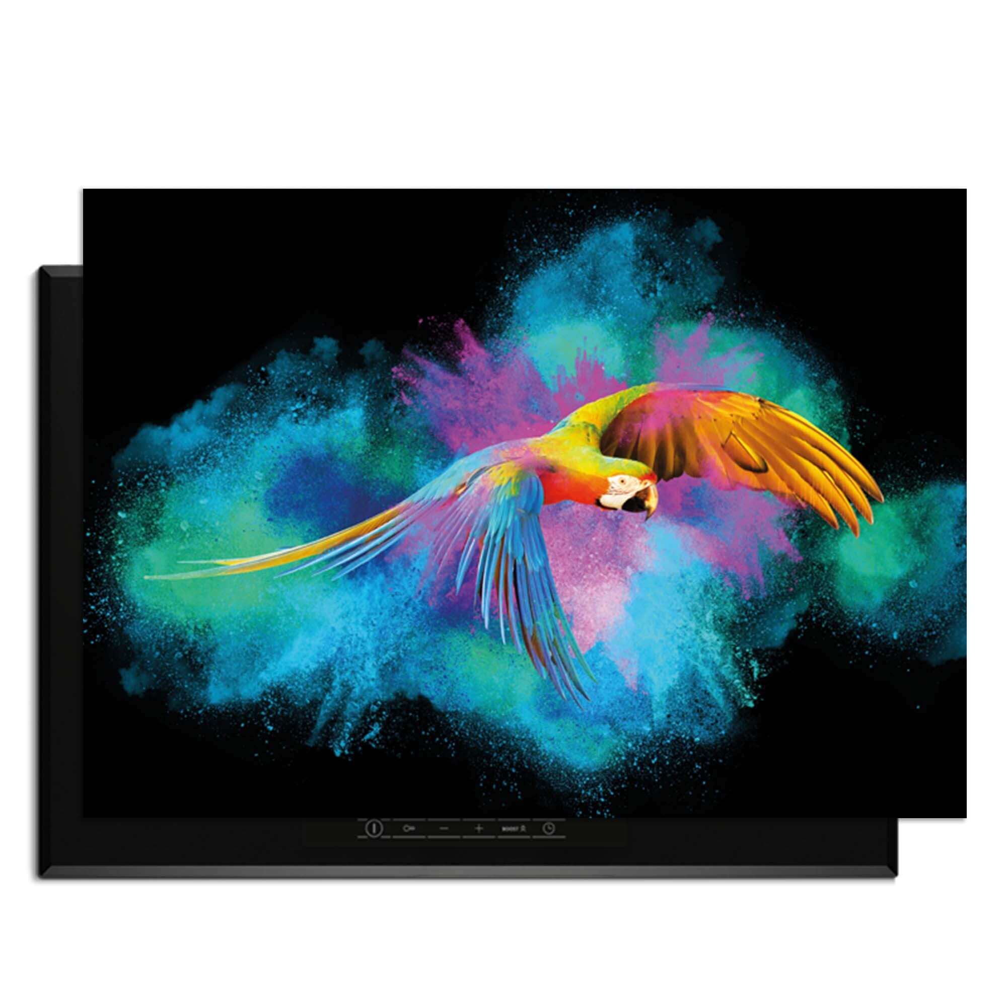 Color Flight – Inductie Beschermer met kleurrijke papegaai en explosie van levendige kleuren op zwart