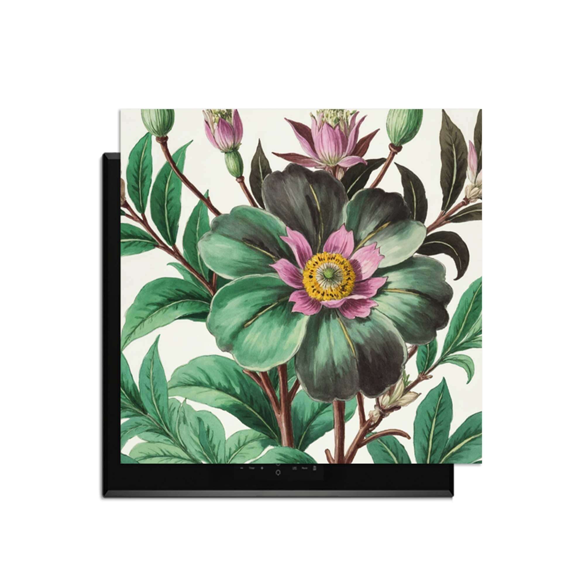 Botanical Grace – Inductie Beschermer met botanische illustraties voor in de keuken.
