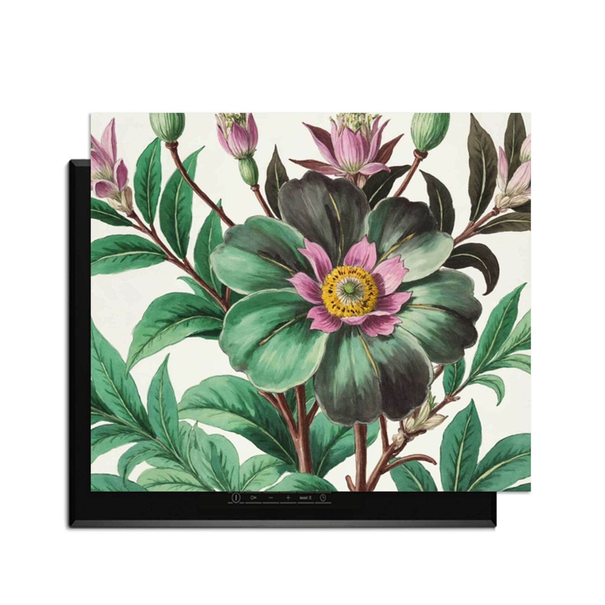 Botanical Grace – Inductie Beschermer met botanische illustraties in de keuken.
