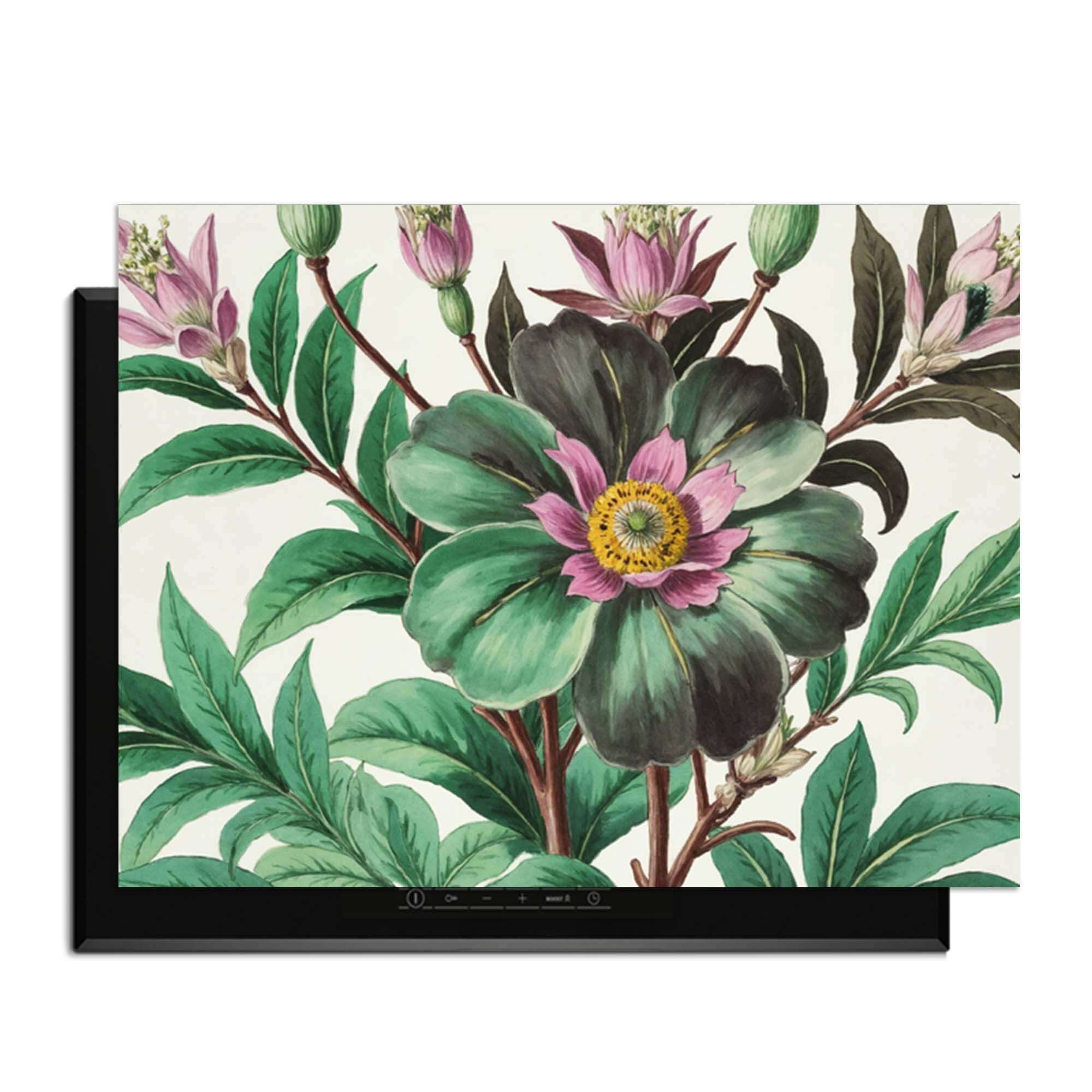 Botanical Grace – Inductie Beschermer met botanische illustraties voor in de keuken.