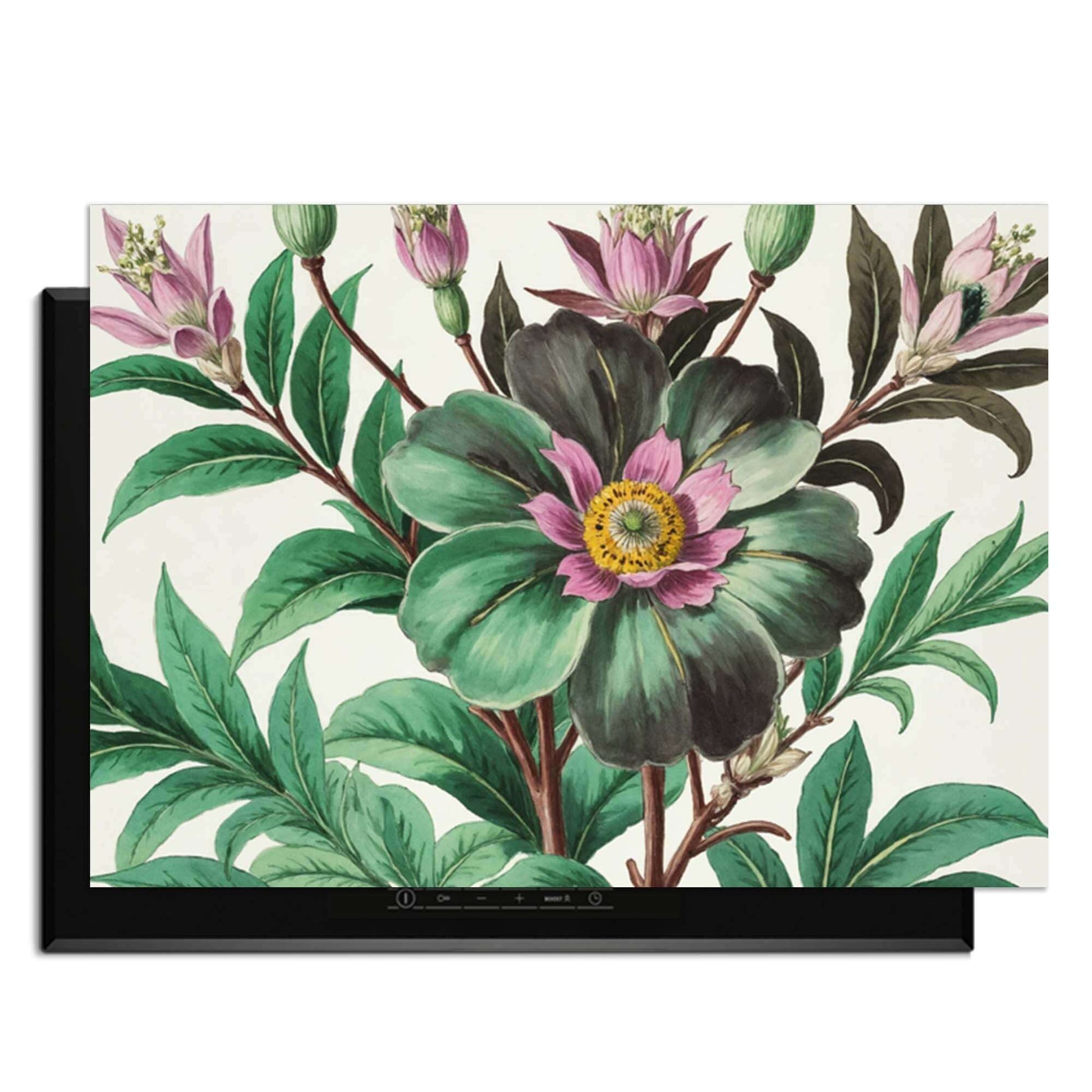 Botanical Grace – Inductie Beschermer met prachtige botanische illustraties voor in de keuken.