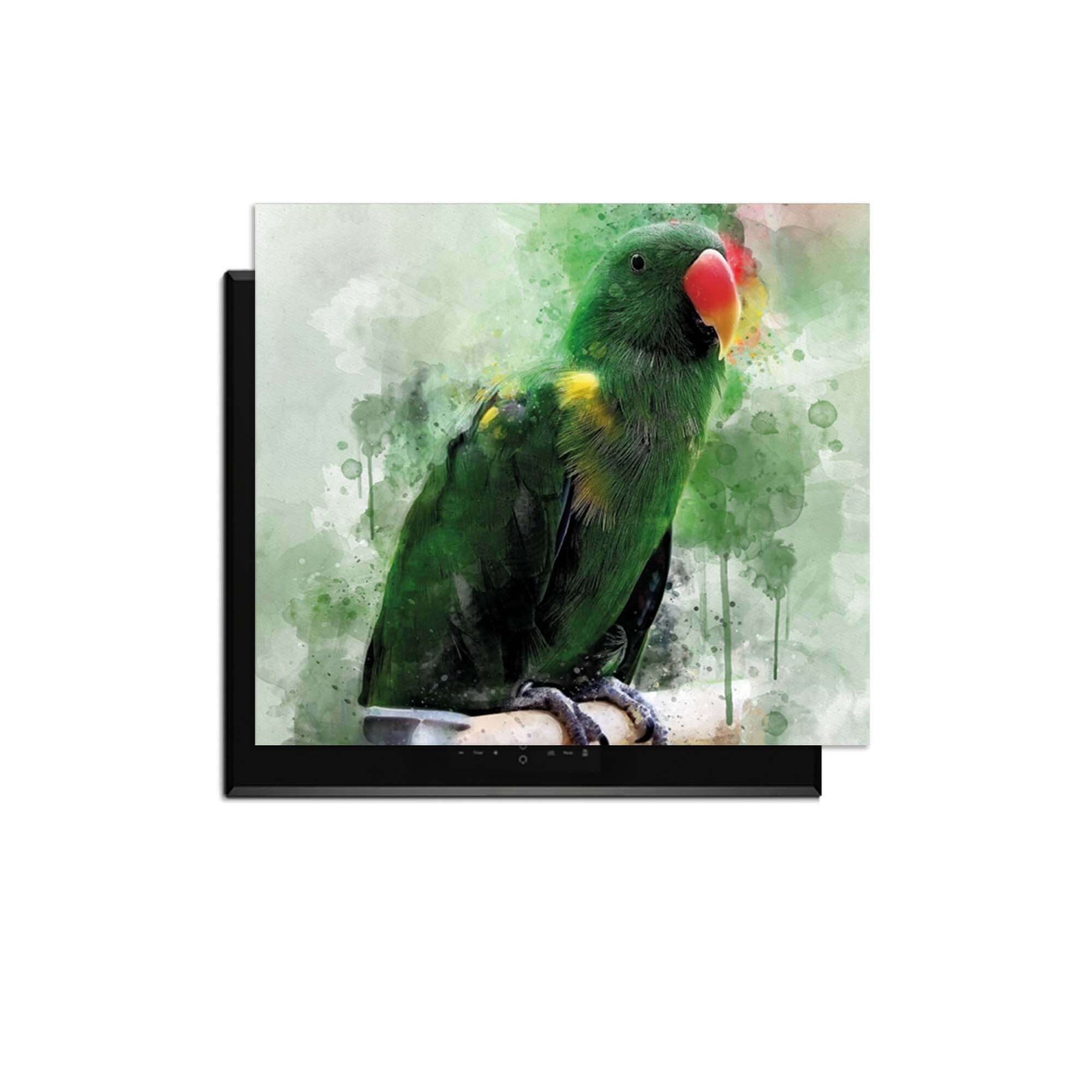 Jungle Parrot - Inductie Beschermer met kleurrijke aquarel achtergrond voor tropische sfeer in de keuken.