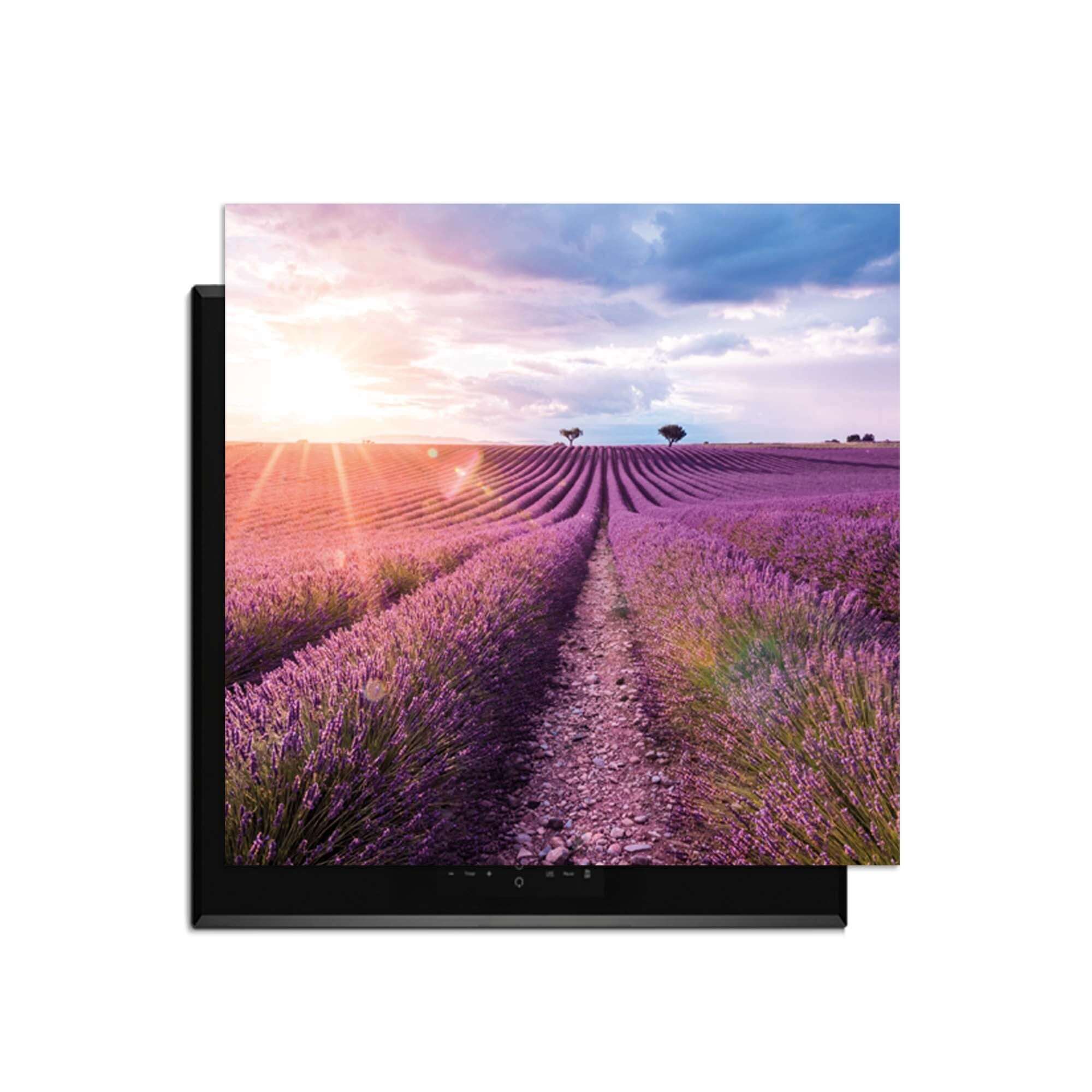 Lavender Horizon – Inductie Beschermer met een uitzicht op een lavendelveld bij zonsondergang.