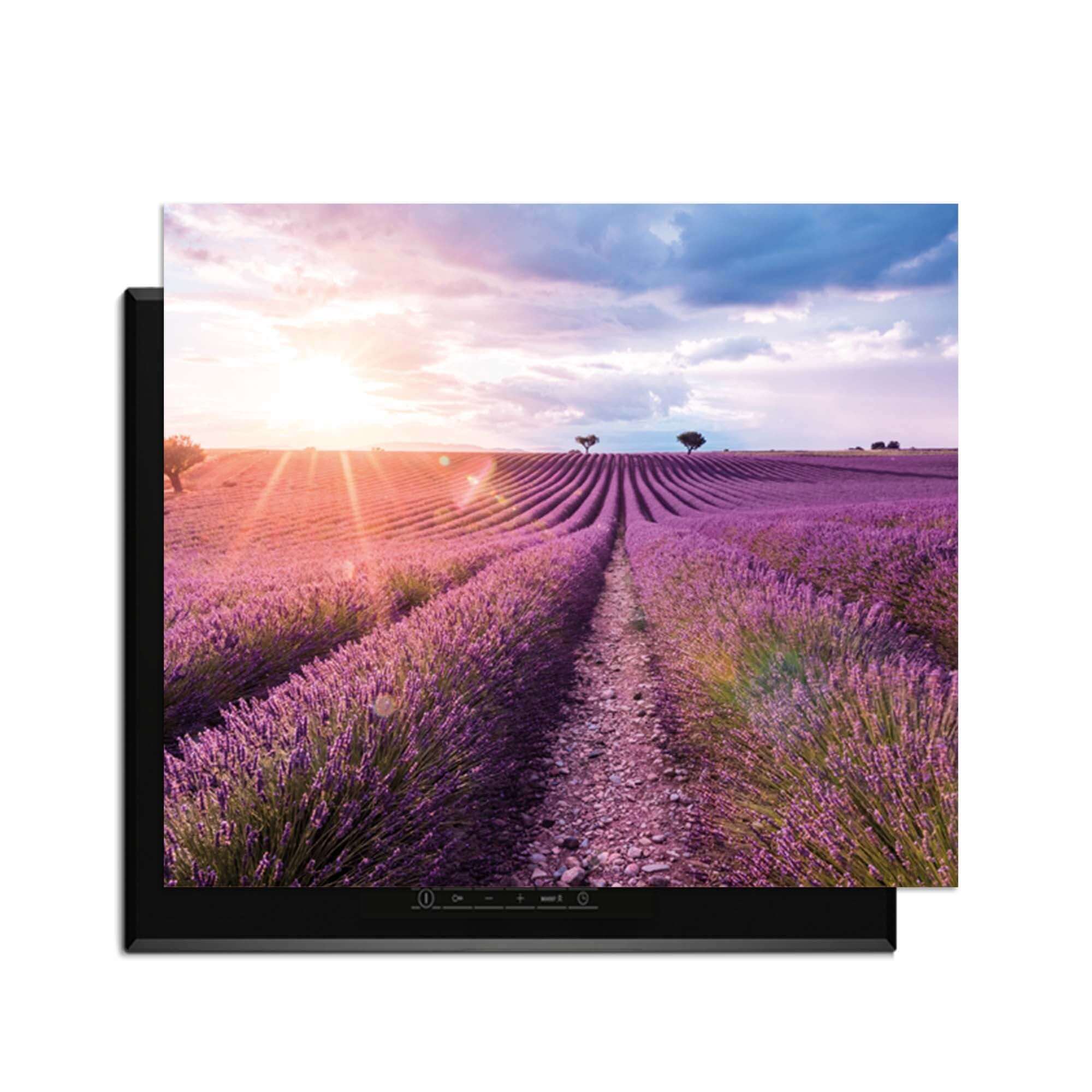 Lavender Horizon – Inductie Beschermer met rustgevend uitzicht op lavendelveld in de keuken.