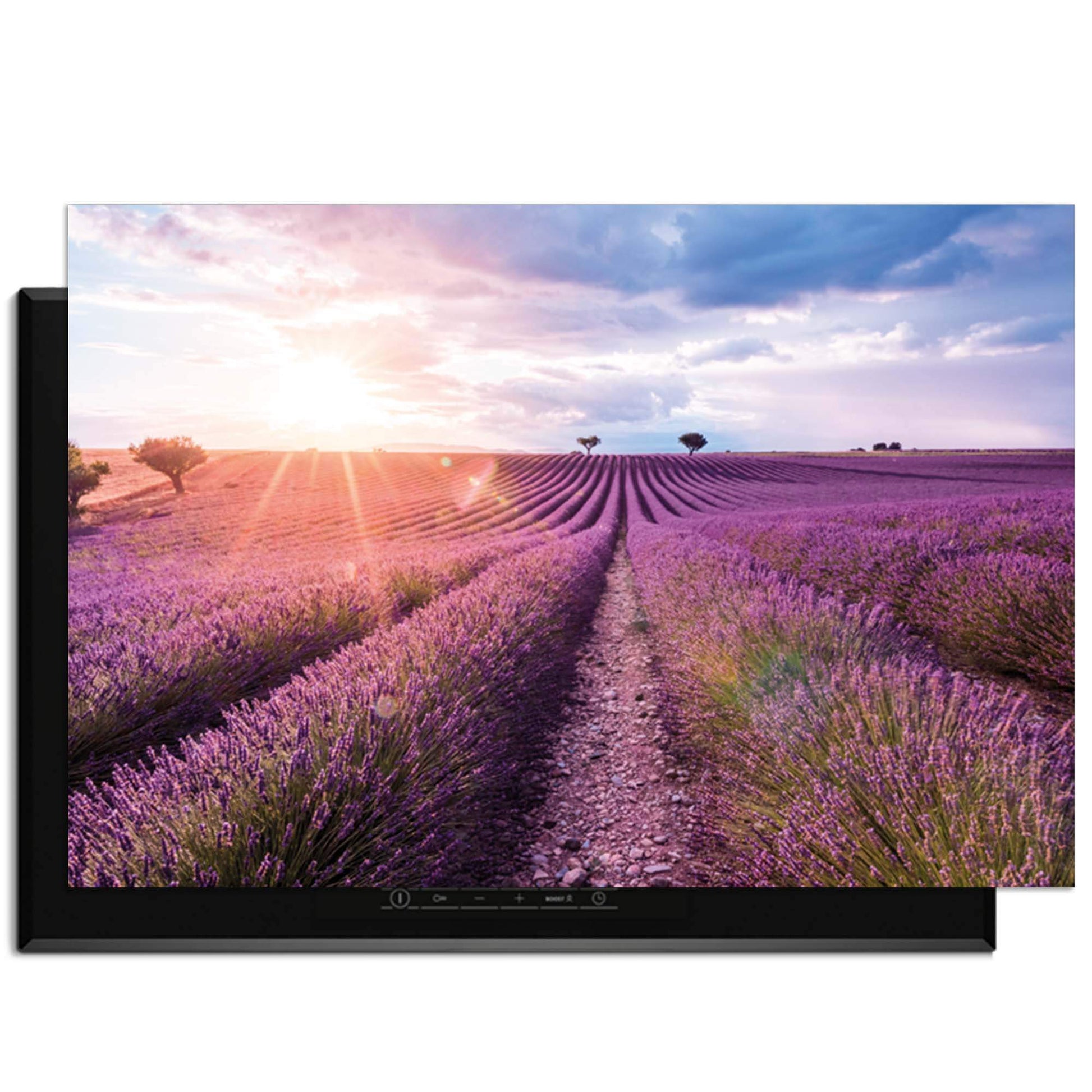 Lavender Horizon – Inductie Beschermer met uitzicht op een lavendelveld in volle bloei.