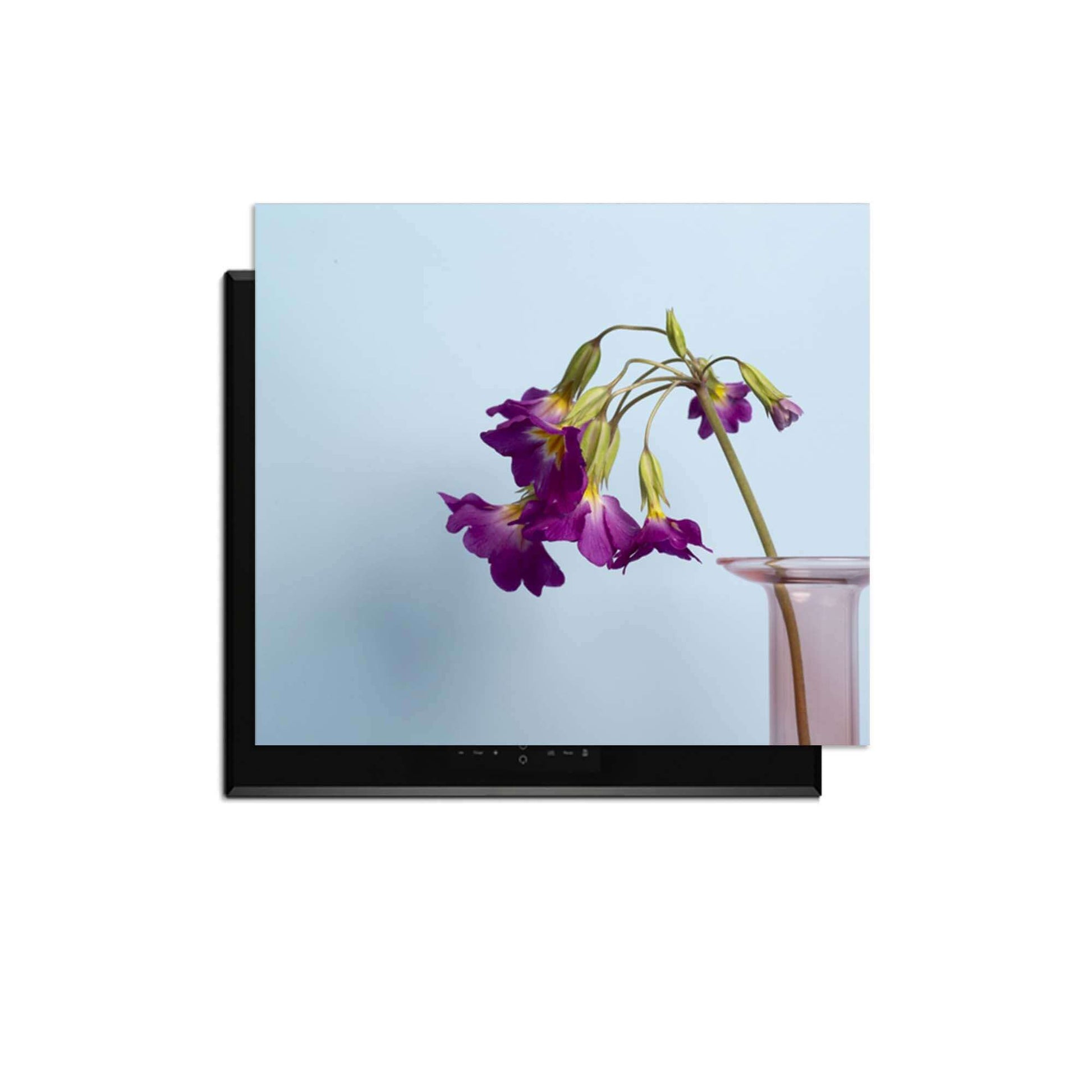 Delicate Drop - Induktionsschutz auf Induktionskochfeld mit lila Blumen in einer Vase.