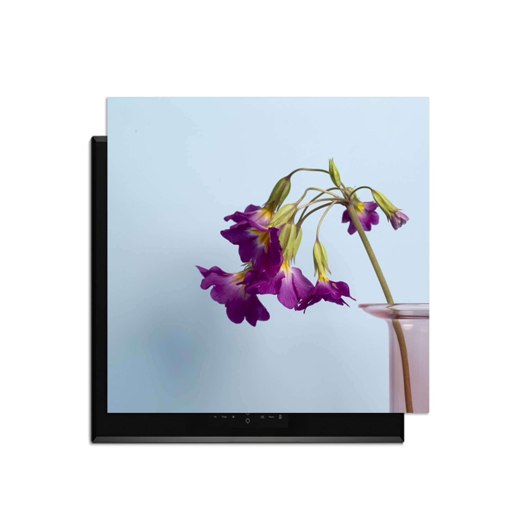 Delicate Drop - Induktionsschutz mit lila Blumen auf hellblauem Hintergrund, perfekt für moderne Küchen.