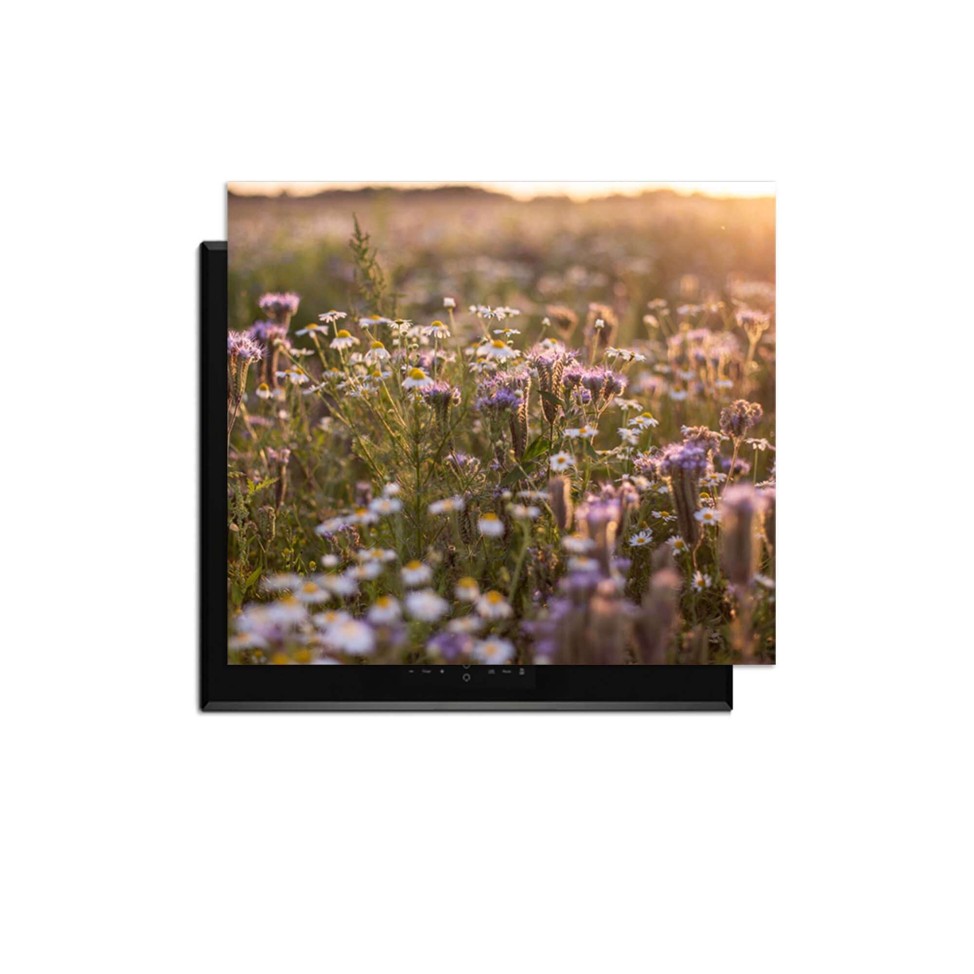 Evening Meadow - Induktionsschutz mit einer heiteren Blumenwiese in der Sonne, ideal zum Schutz Ihres Induktionskochfelds.