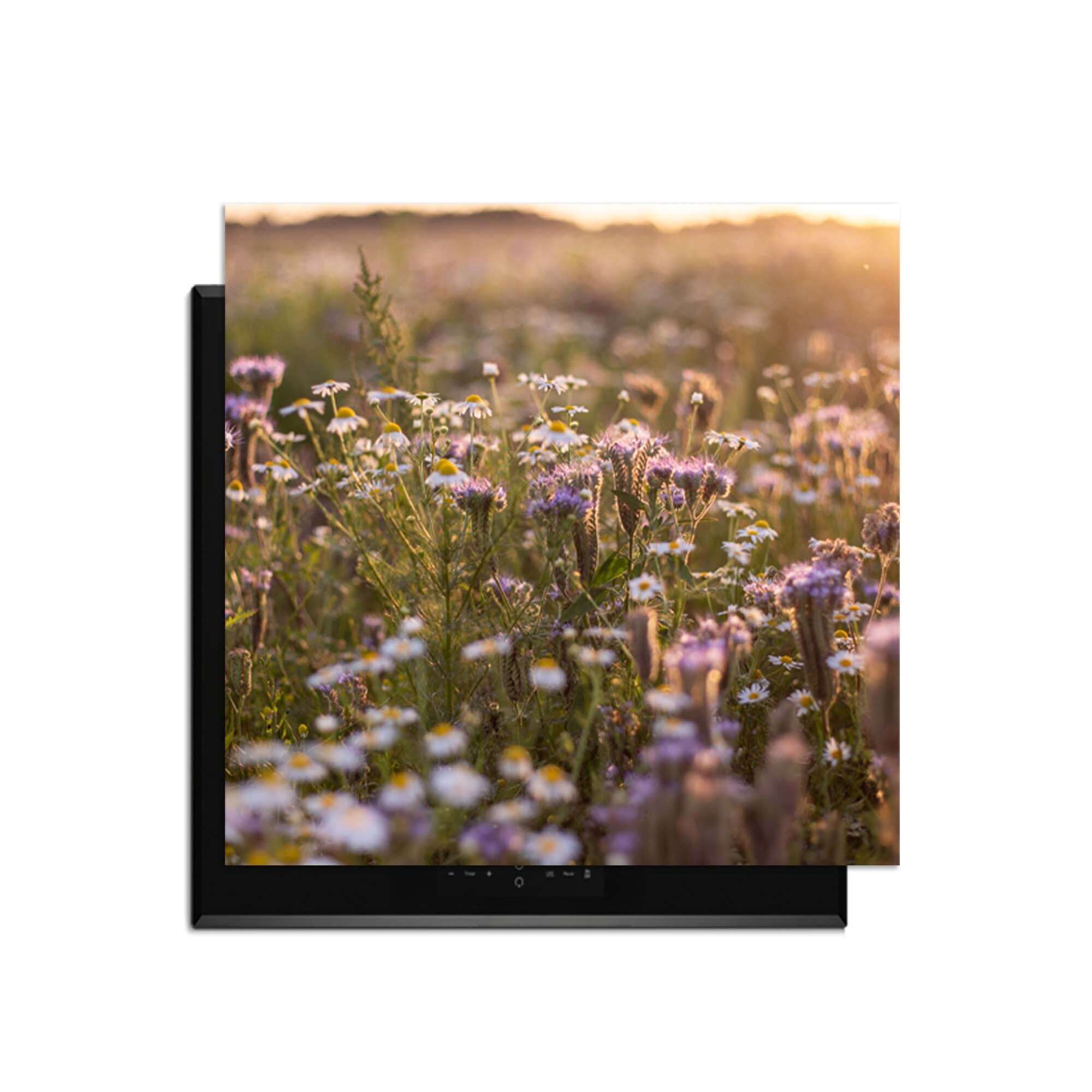 Evening Meadow - Induction Protector mit einer schönen Blumenlandschaft in der Sonne.