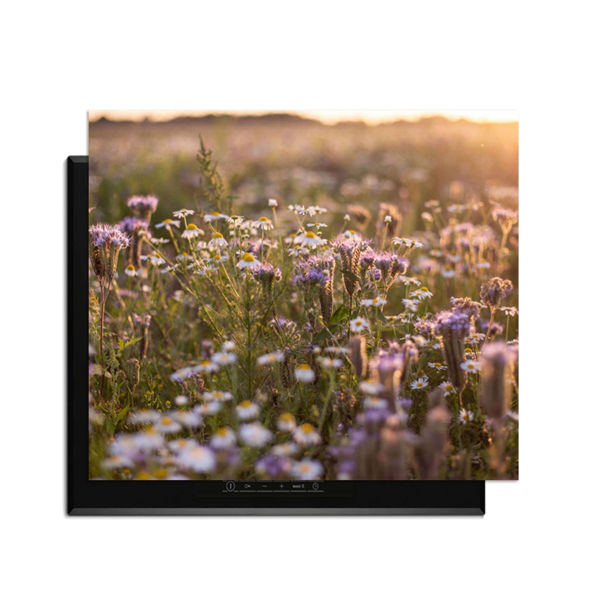 Evening Meadow - Induktionsschutz mit einem eleganten Blumendesign in einer Sonnenuntergangslandschaft.