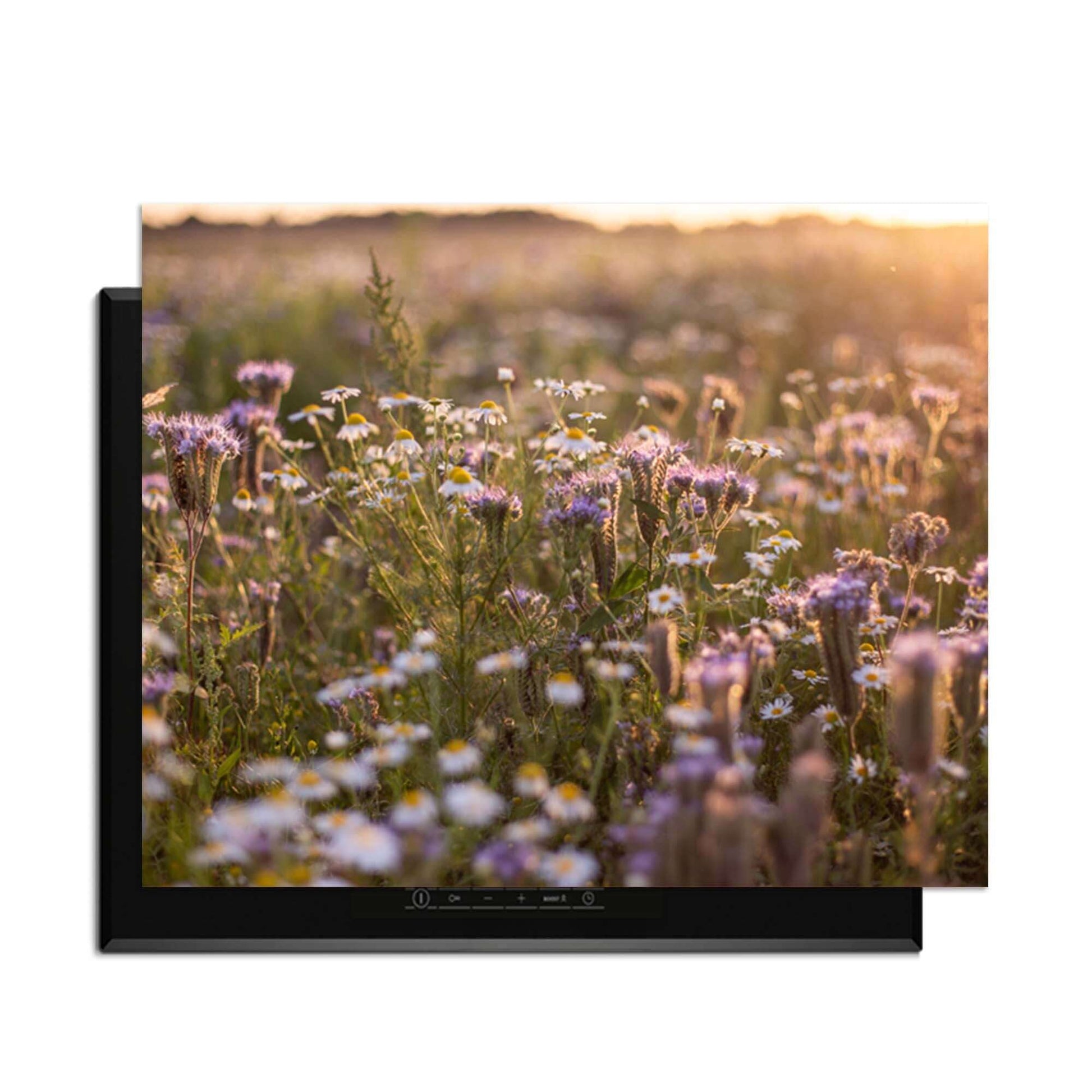 Evening Meadow - Induction Protector mit einer heiteren Blumenwiese im Sonnenlicht.