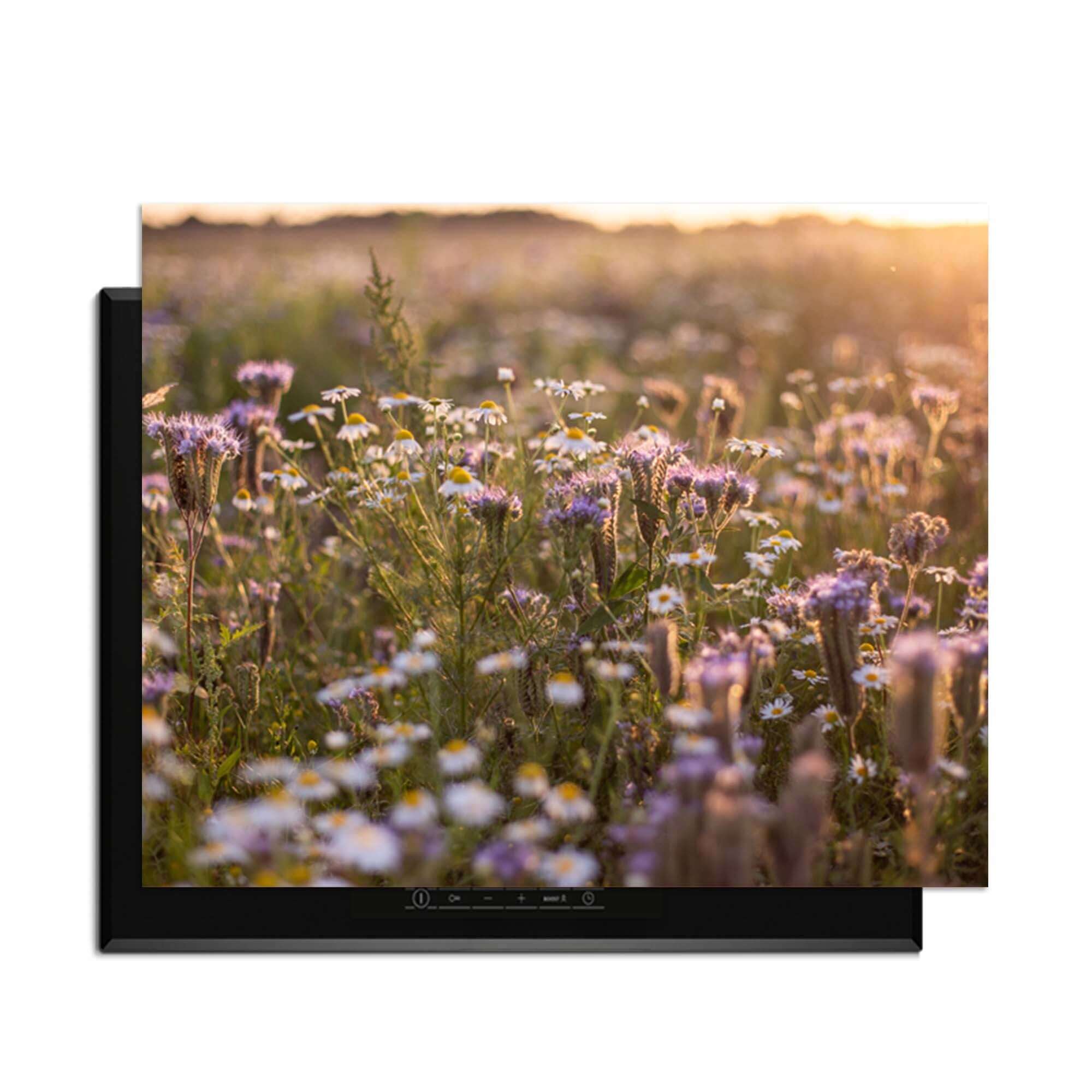 Evening Meadow - Induction Protector mit einer heiteren Blumenwiese im Sonnenlicht.
