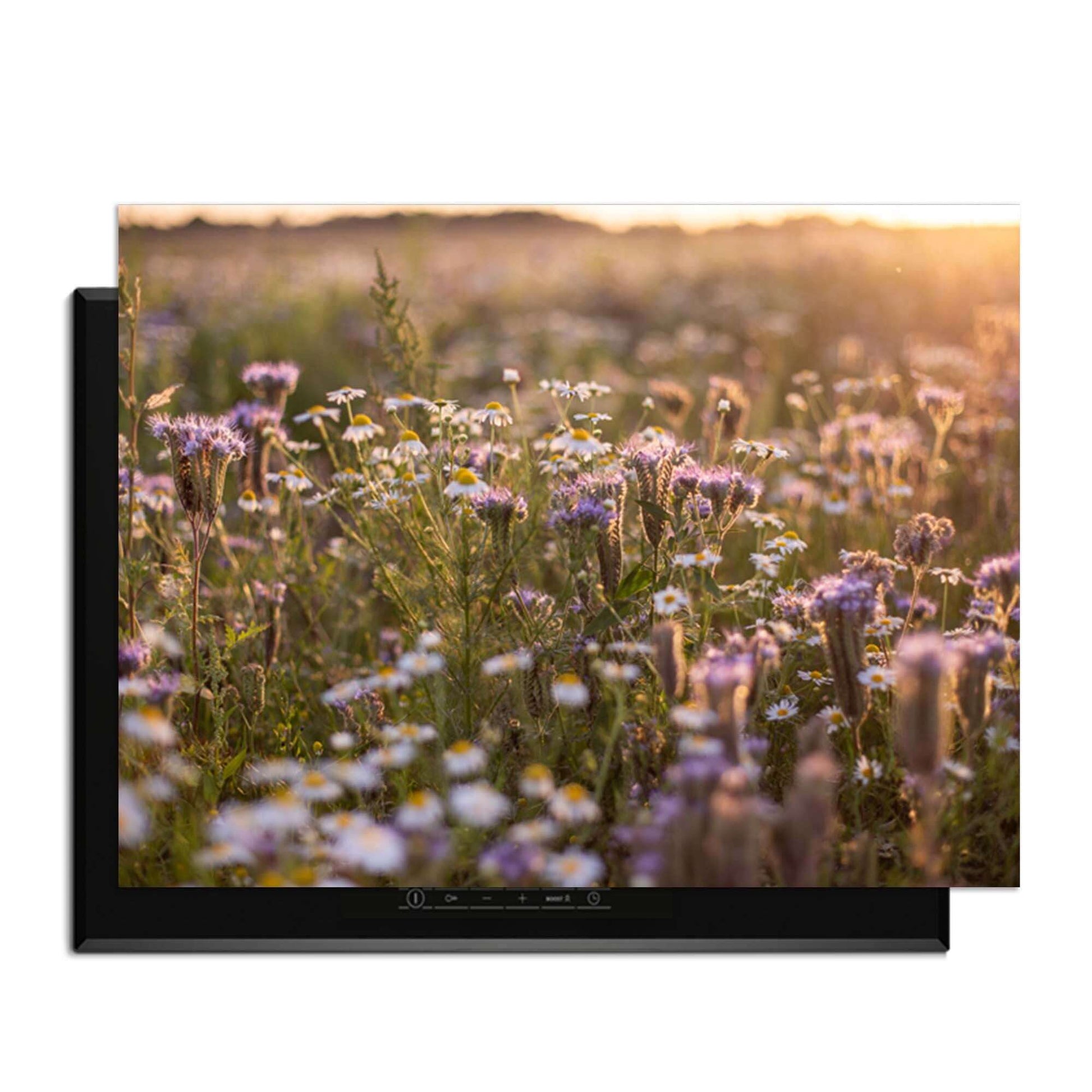 Evening Meadow - Induktionsschutz mit einer heiteren Blumenwiese in der Sonne, Schutz vor Kratzern und Verschüttungen.