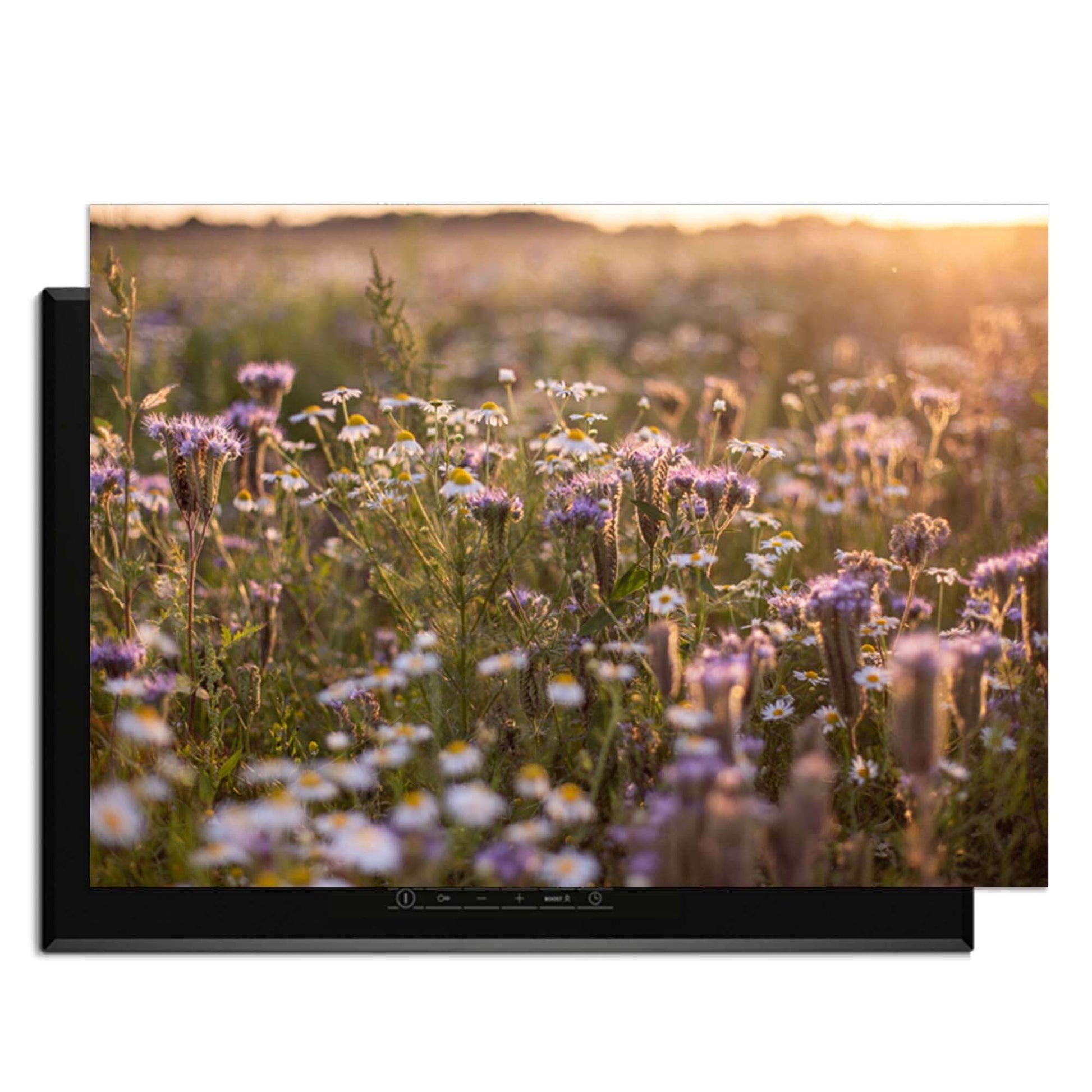 Evening Meadow - Induktionsschutz mit einer heiteren Blumenwiesenatmosphäre im Hintergrund.