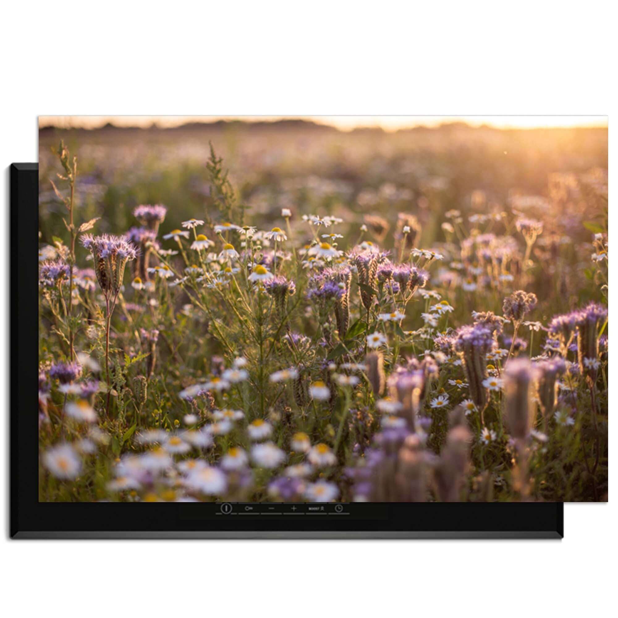 Evening Meadow - Induction Protector mit einem ruhigen Feld voller Blumen und sanftem Sonnenlicht.