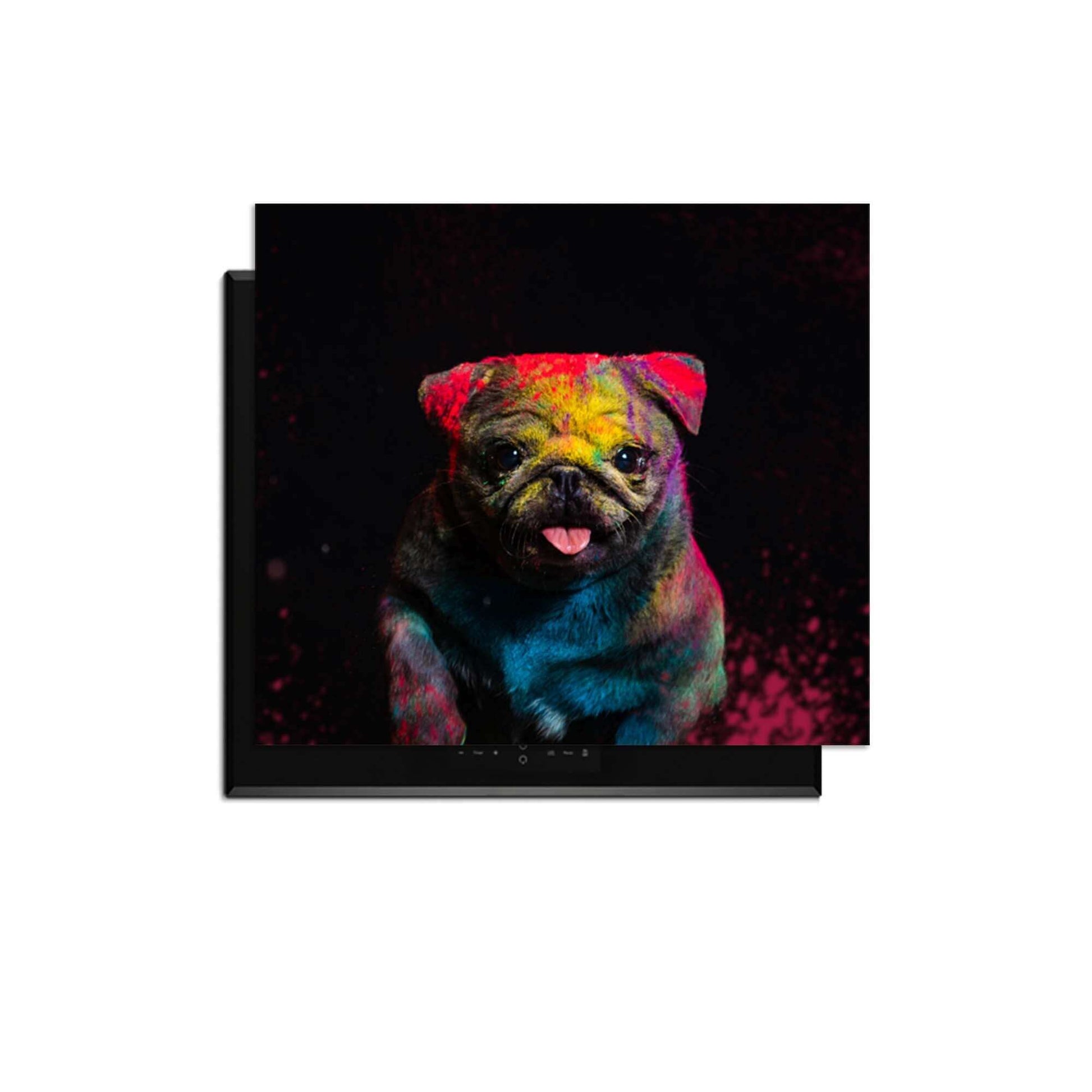 Funky Pup - Induktionsschutz mit buntem Hundedesign zum Schutz vor Kratzern und Verschütten.