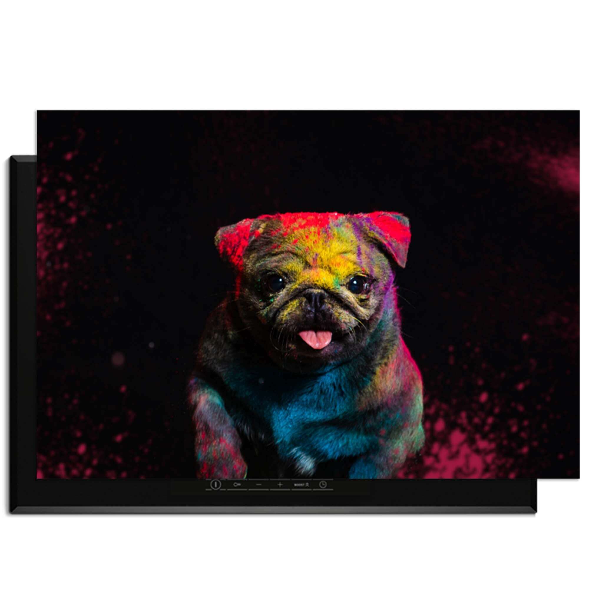 Funky Pup - Induktionsschutz mit buntem Hundedesign zum Schutz des Kochfelds.