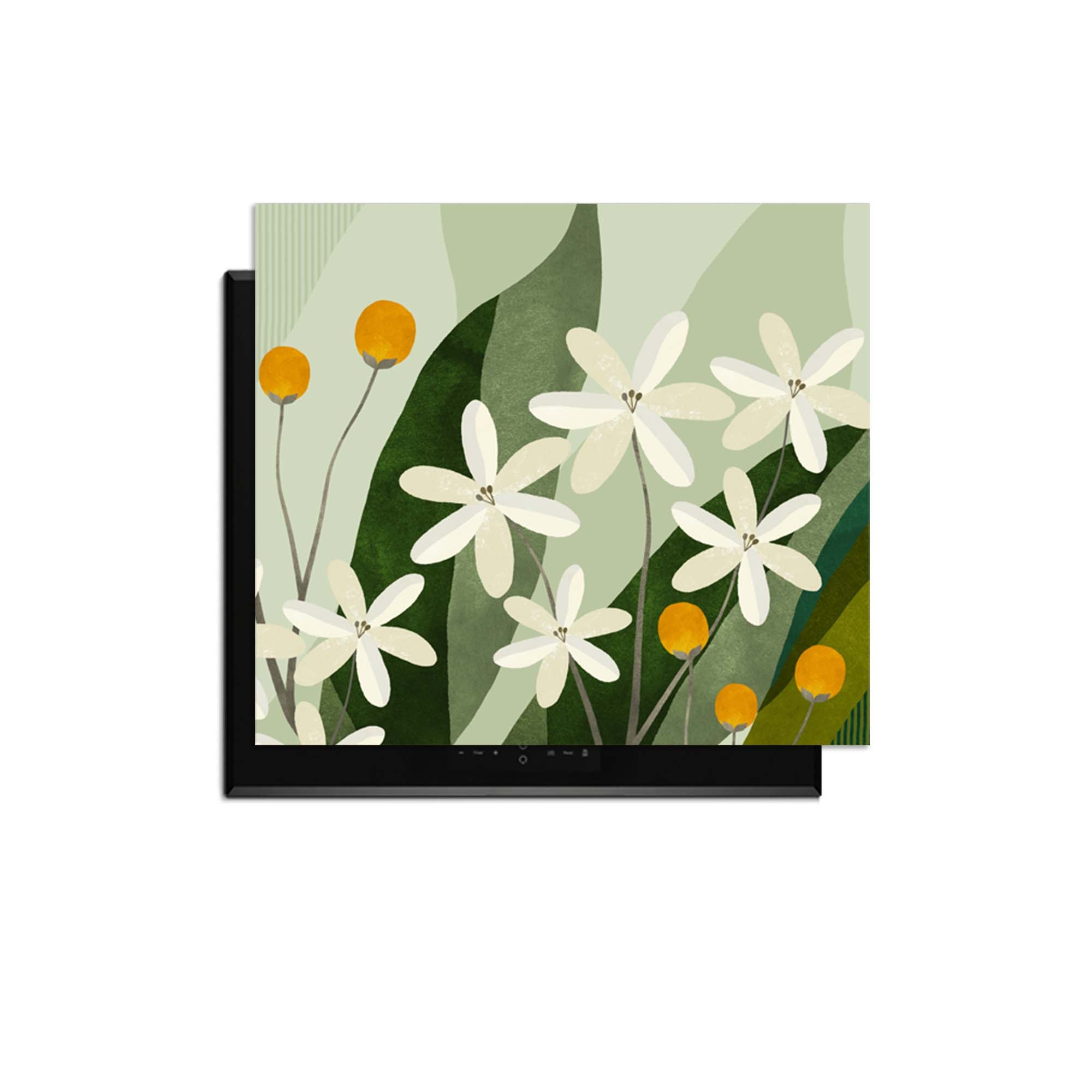 Ivory Spheres - Inductie Beschermer