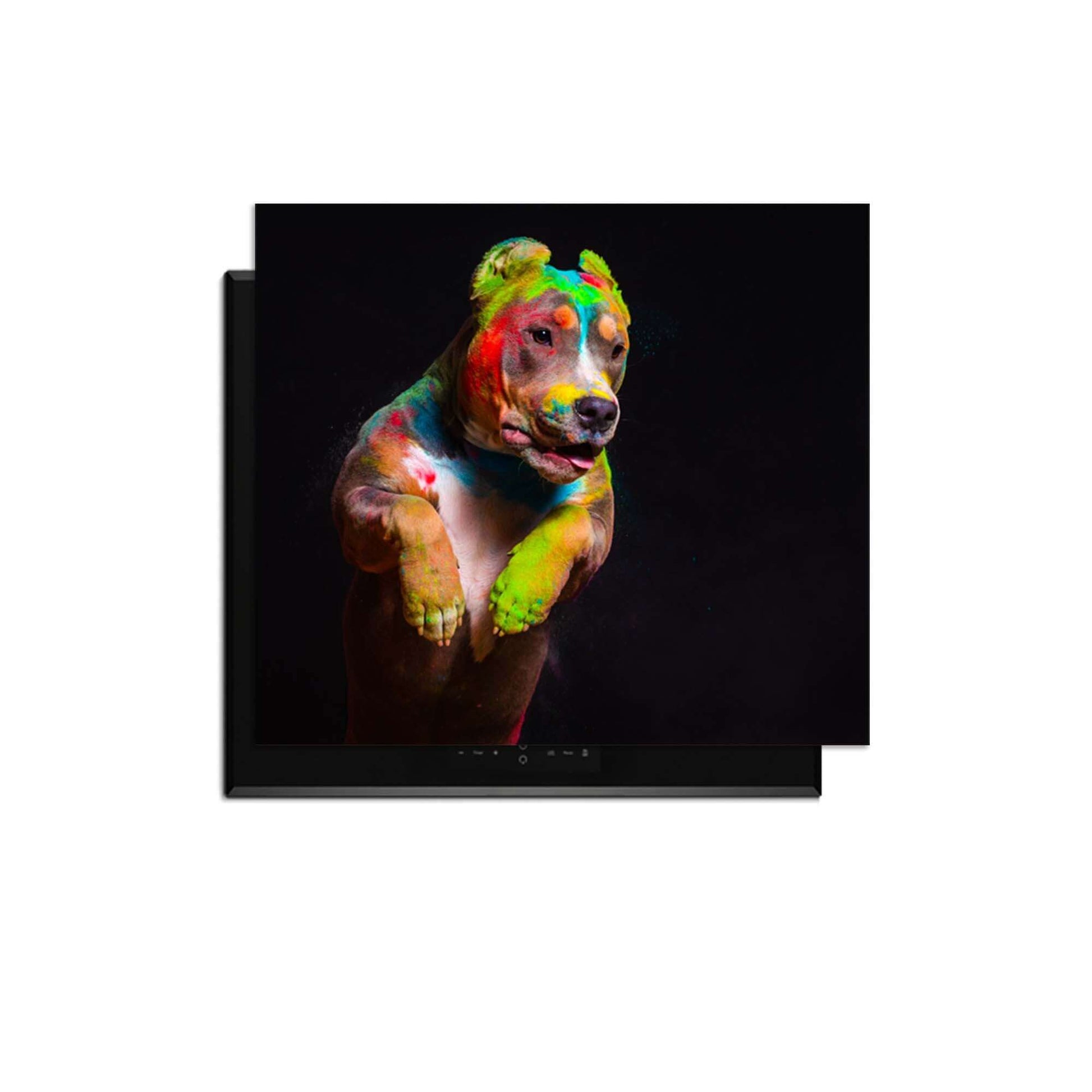 Paint Paws - Induktionsschutz mit bunt bemaltem Hund, idealer Schutz für Induktionskochfelder.