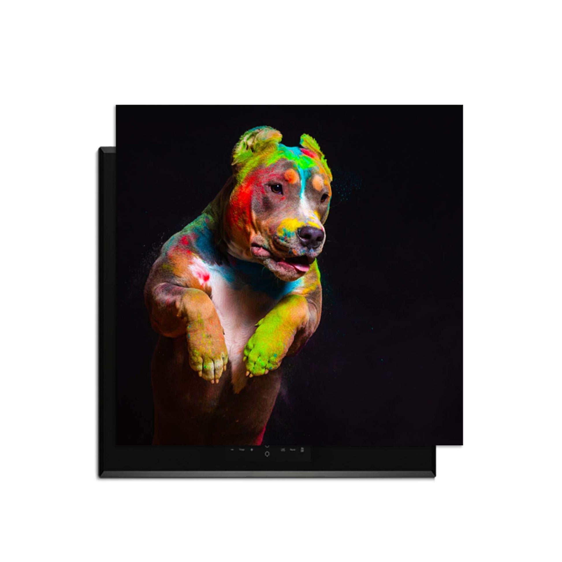 Paint Paws - Induktionsschutz mit farbenfrohem Hundemotiv auf Induktionskochfeld.