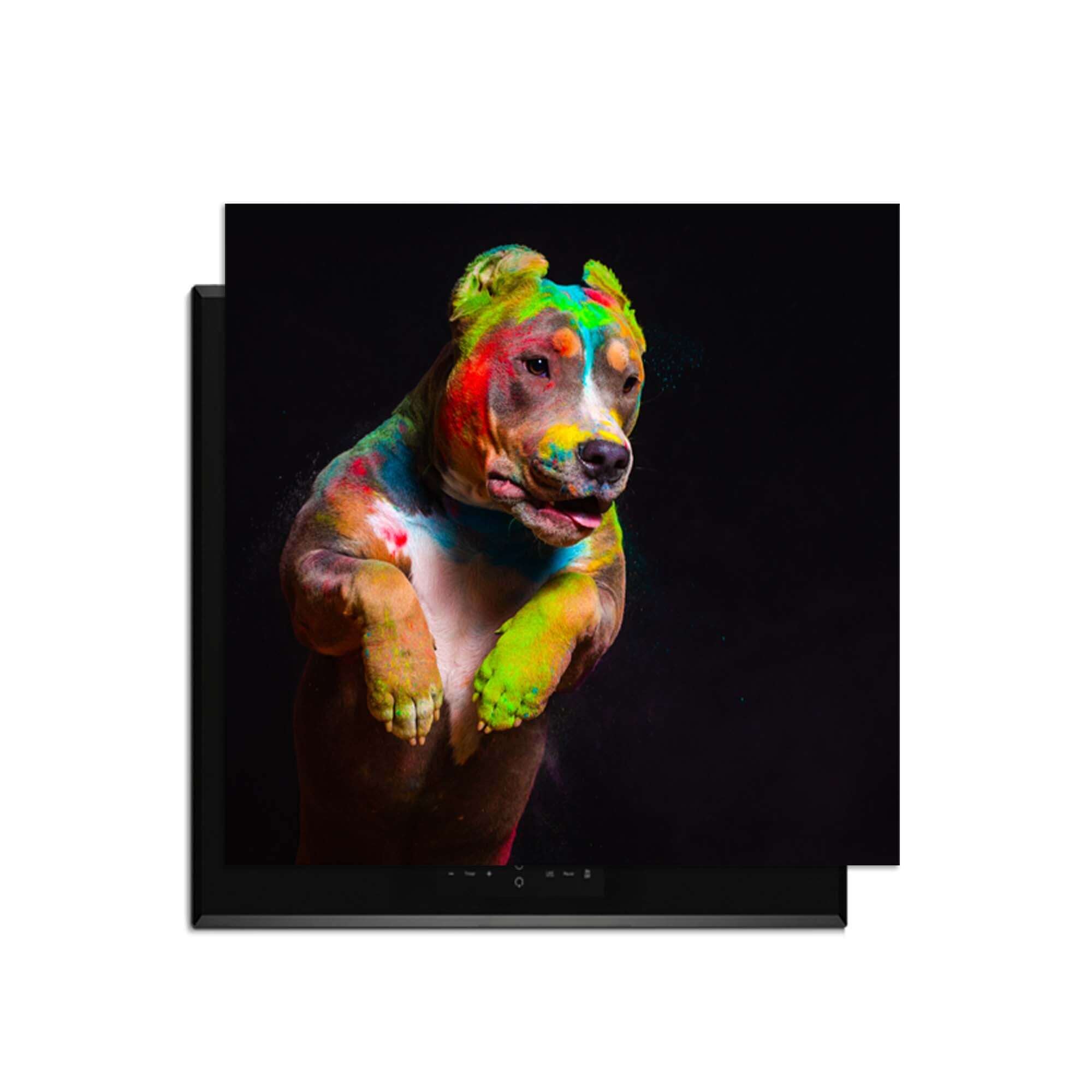 Paint Paws - Induktionsschutz mit farbenfrohem Hundemotiv auf Induktionskochfeld.