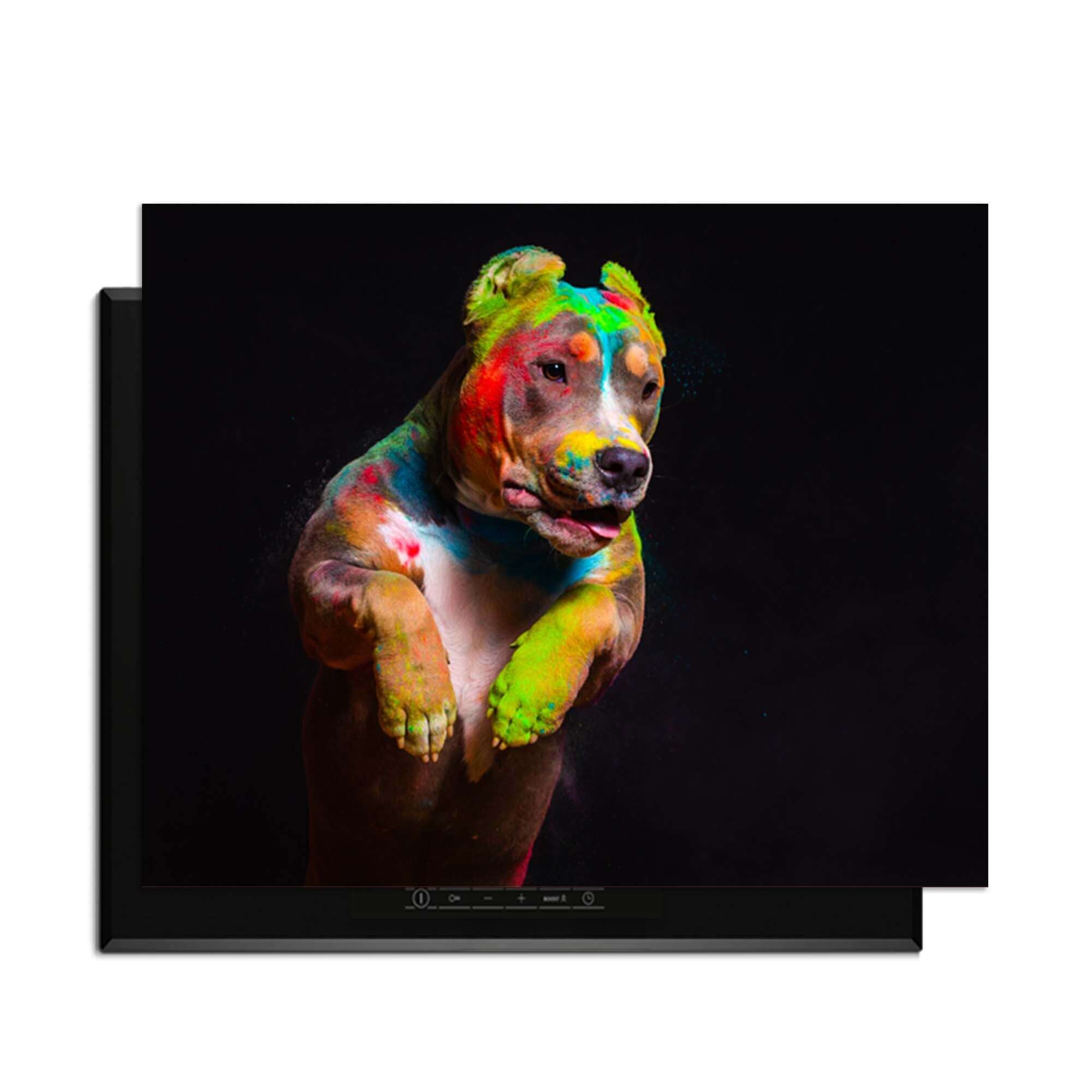 Paint Paws - Induktionsschutz, Bild eines bunten Hundes auf einem Induktionskochfeld, dekoratives und schützendes Accessoire.