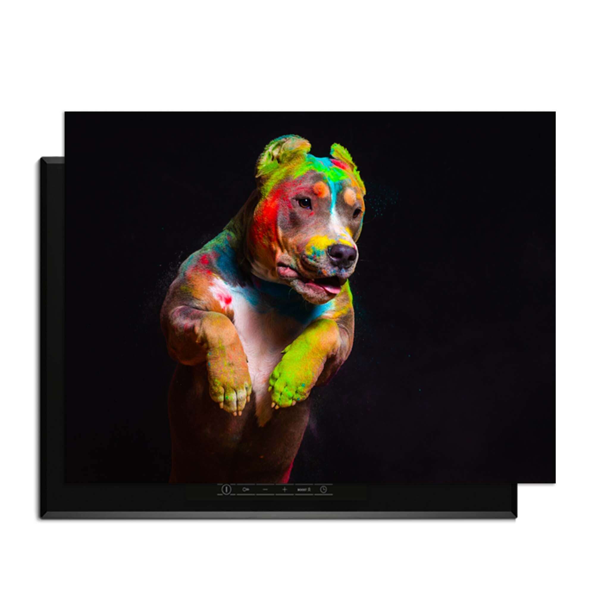 Paint Paws - Induktionsschutz mit buntem Hund auf Induktionskochfeld, schützt vor Kratzern und Flecken.