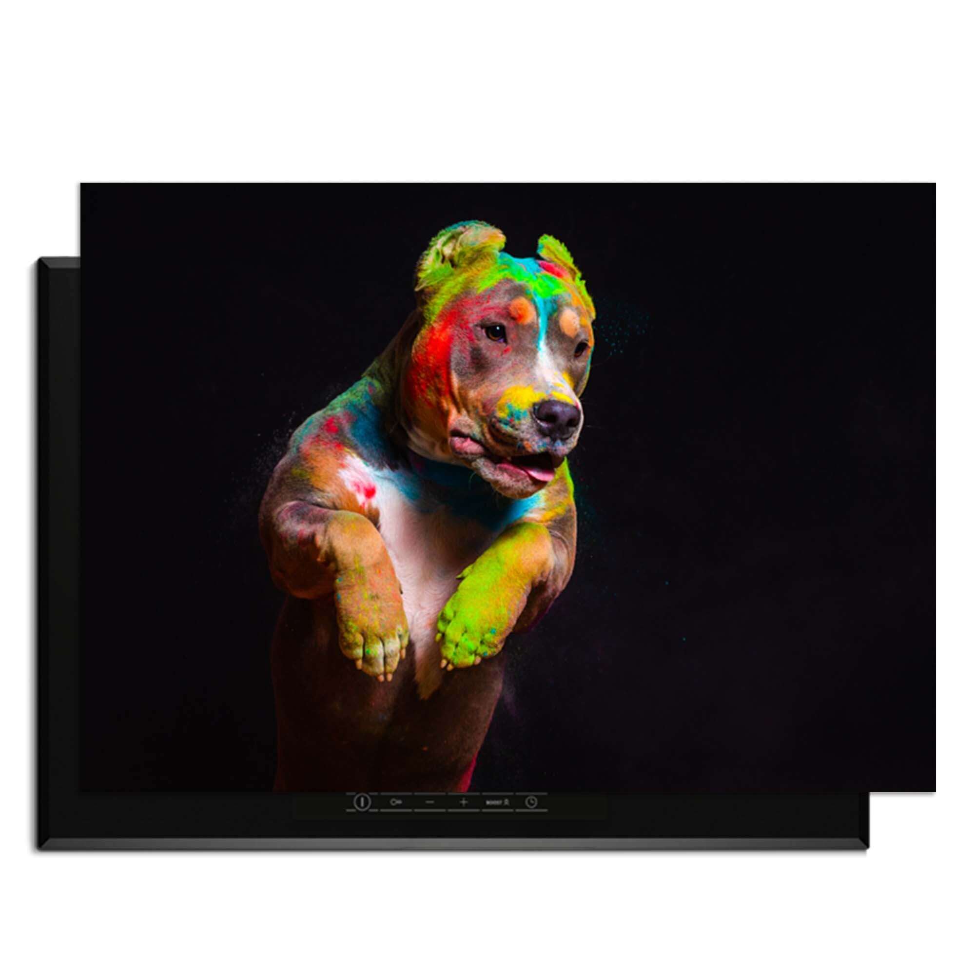 Paint Paws - Induktionsschutz mit bunt bemaltem Hund auf dem Kochfeld