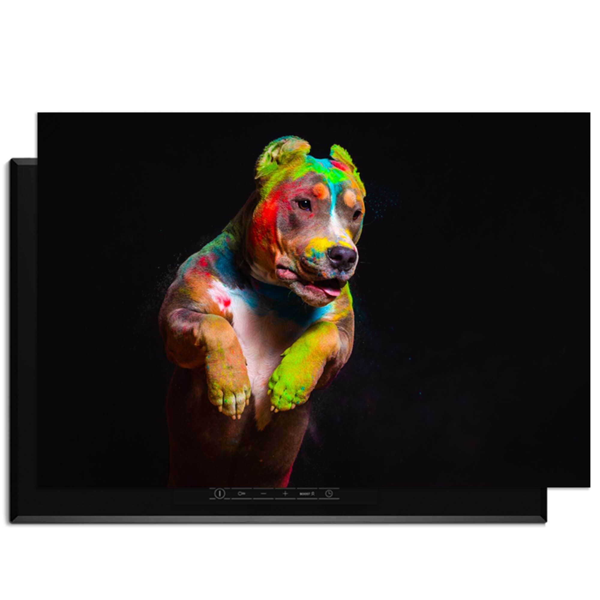 Kleurige Paint Paws - Inductie Beschermer met een levendig geschilderde hond op een inductiekookplaat.