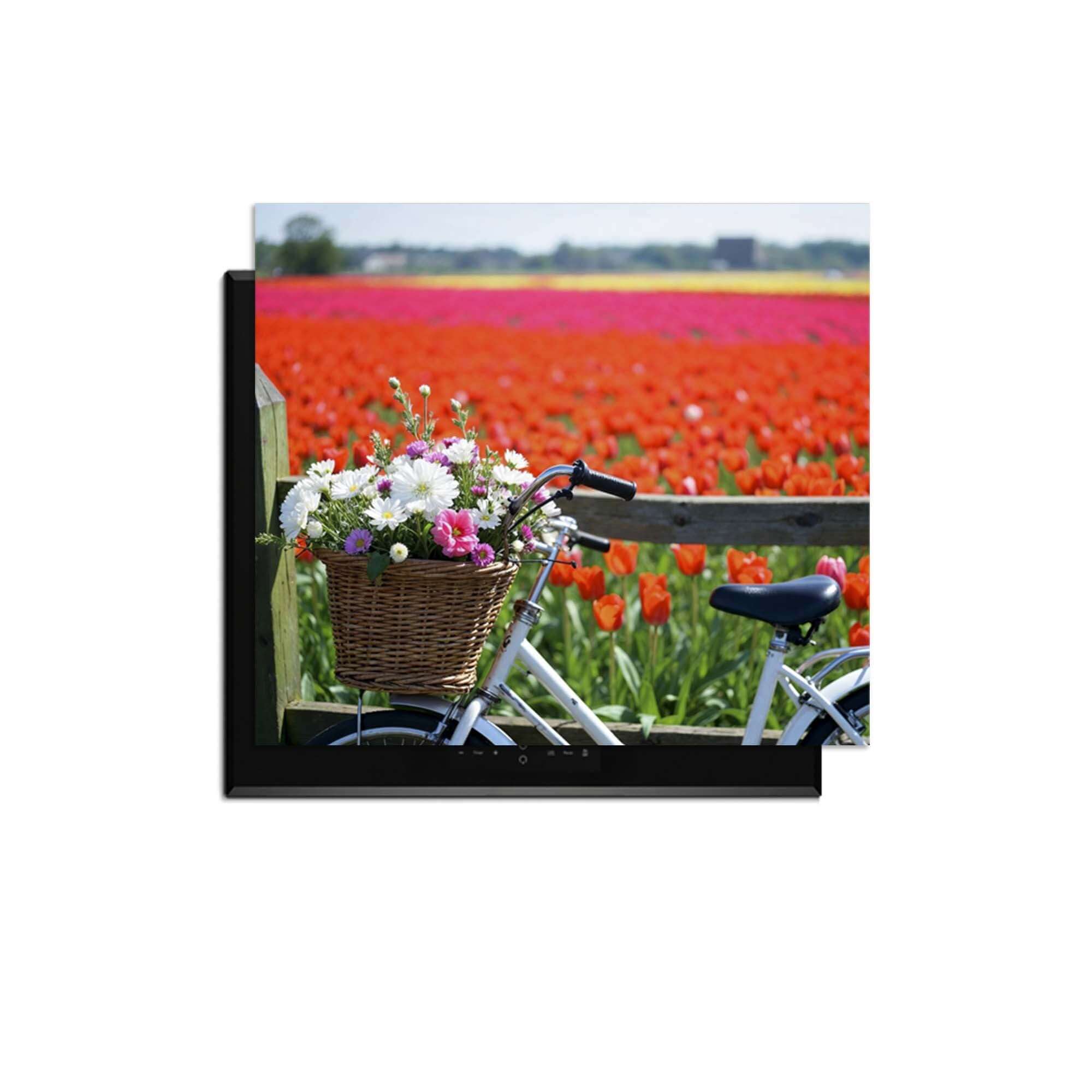 Voorjaarsfiets met bloemenmand in kleurrijk tulpenveld.